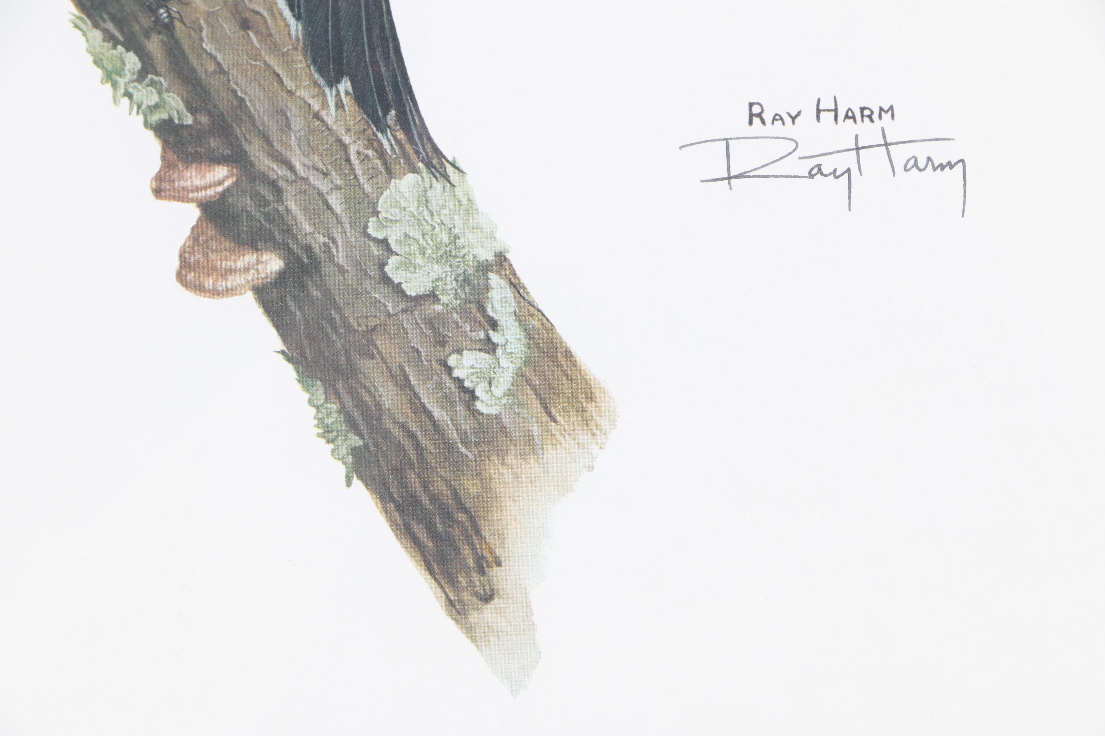 Ray Harm Reproduction Print on Paper "Flicker"