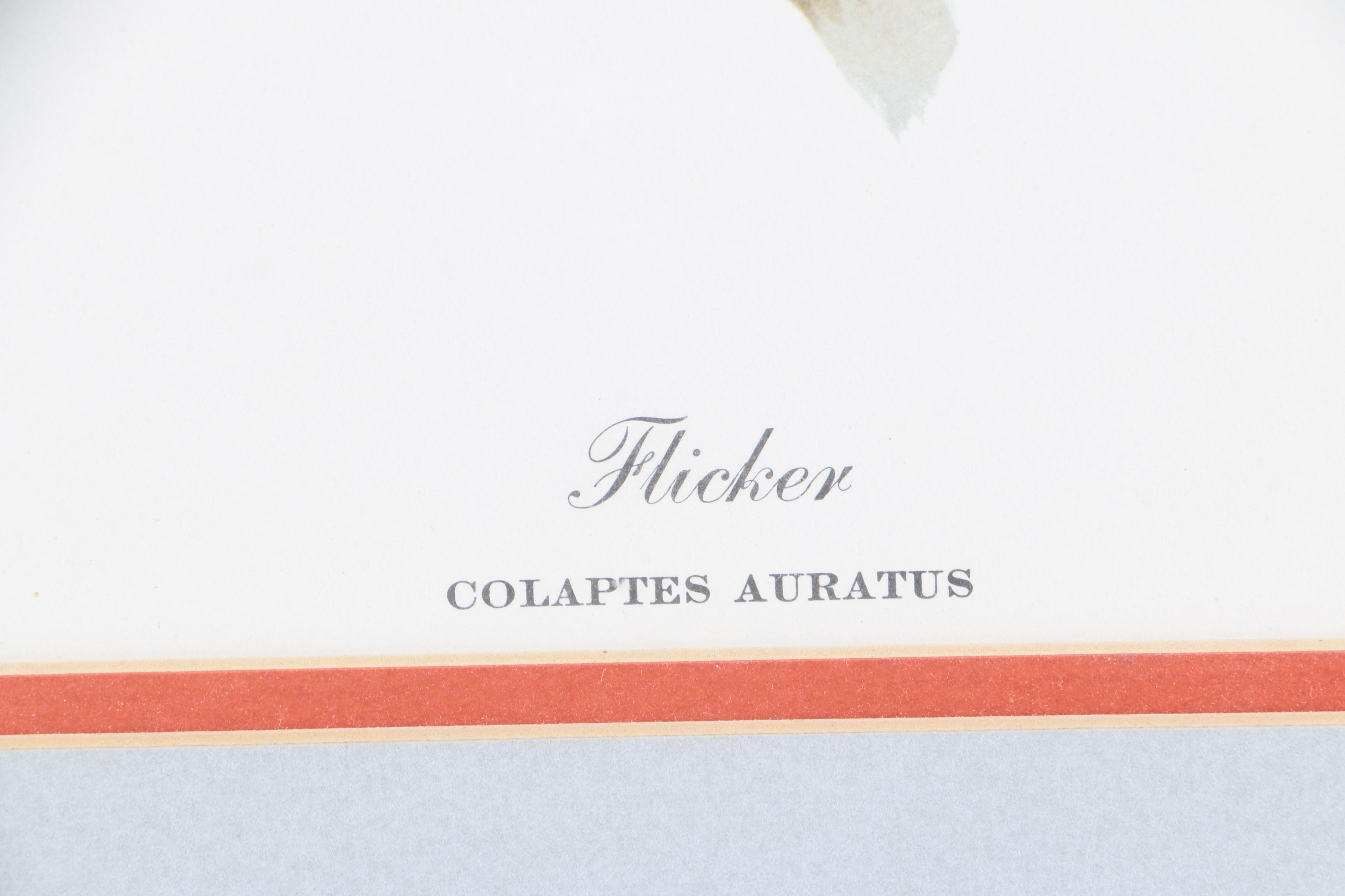 Ray Harm Reproduction Print on Paper "Flicker"