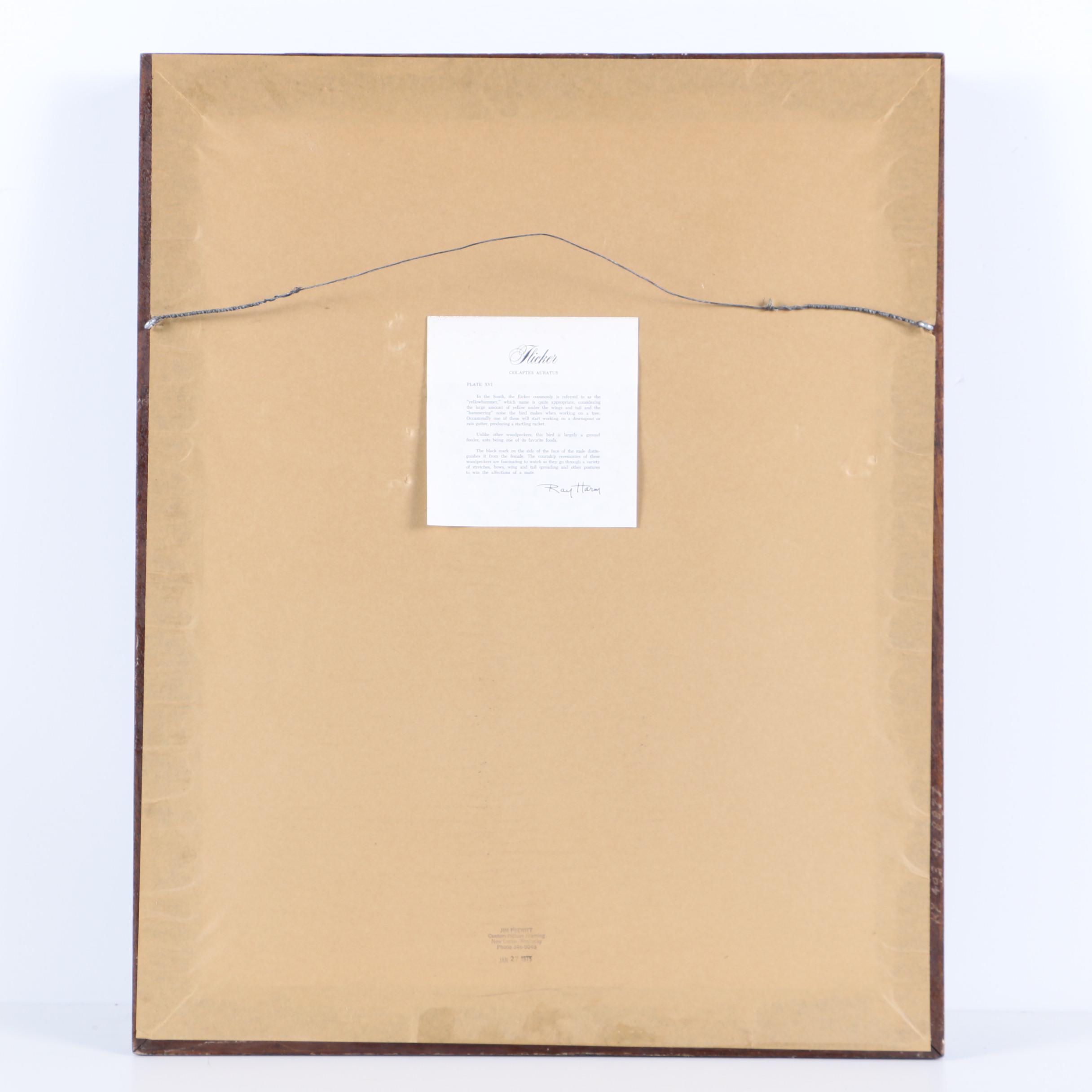 Ray Harm Reproduction Print on Paper "Flicker"