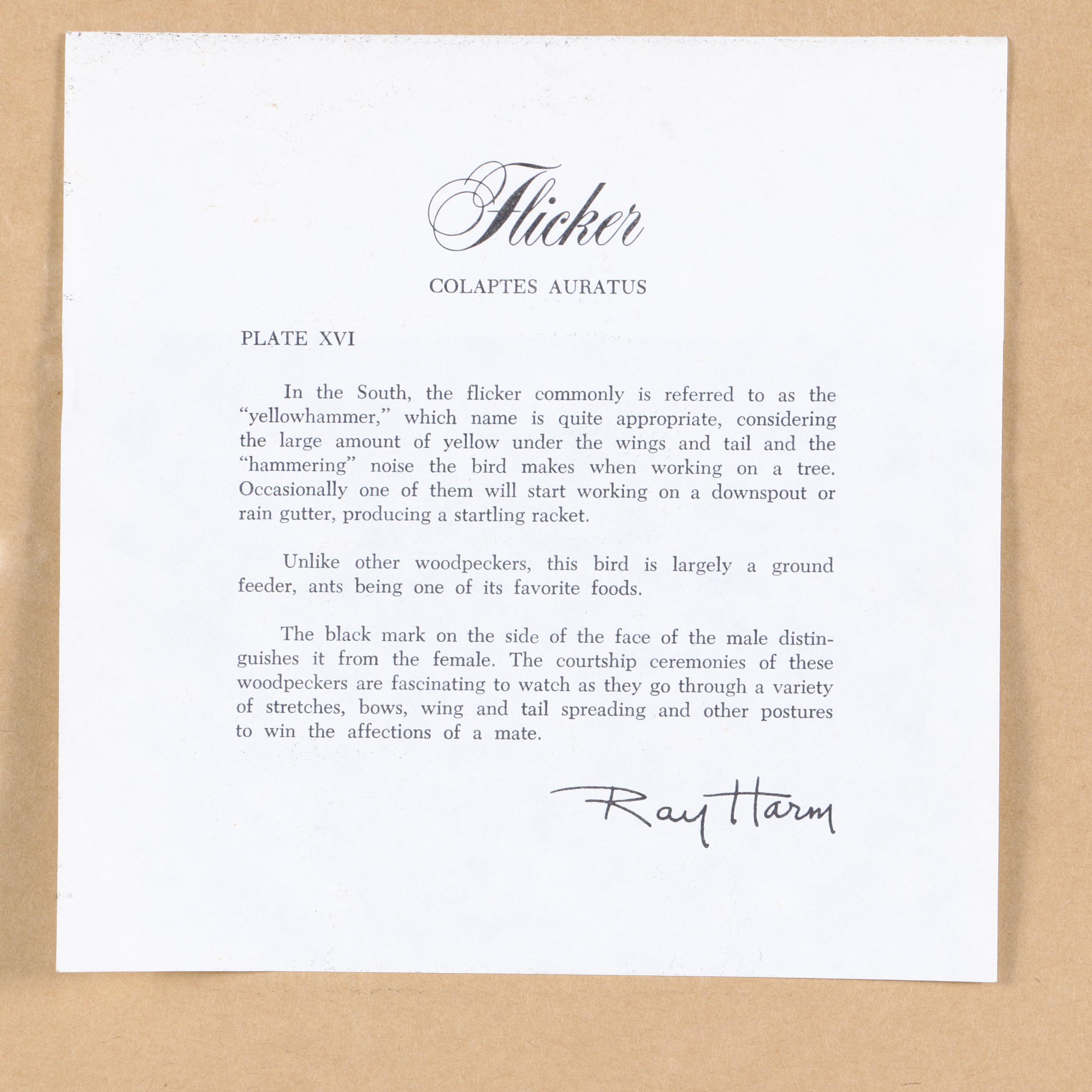 Ray Harm Reproduction Print on Paper "Flicker"