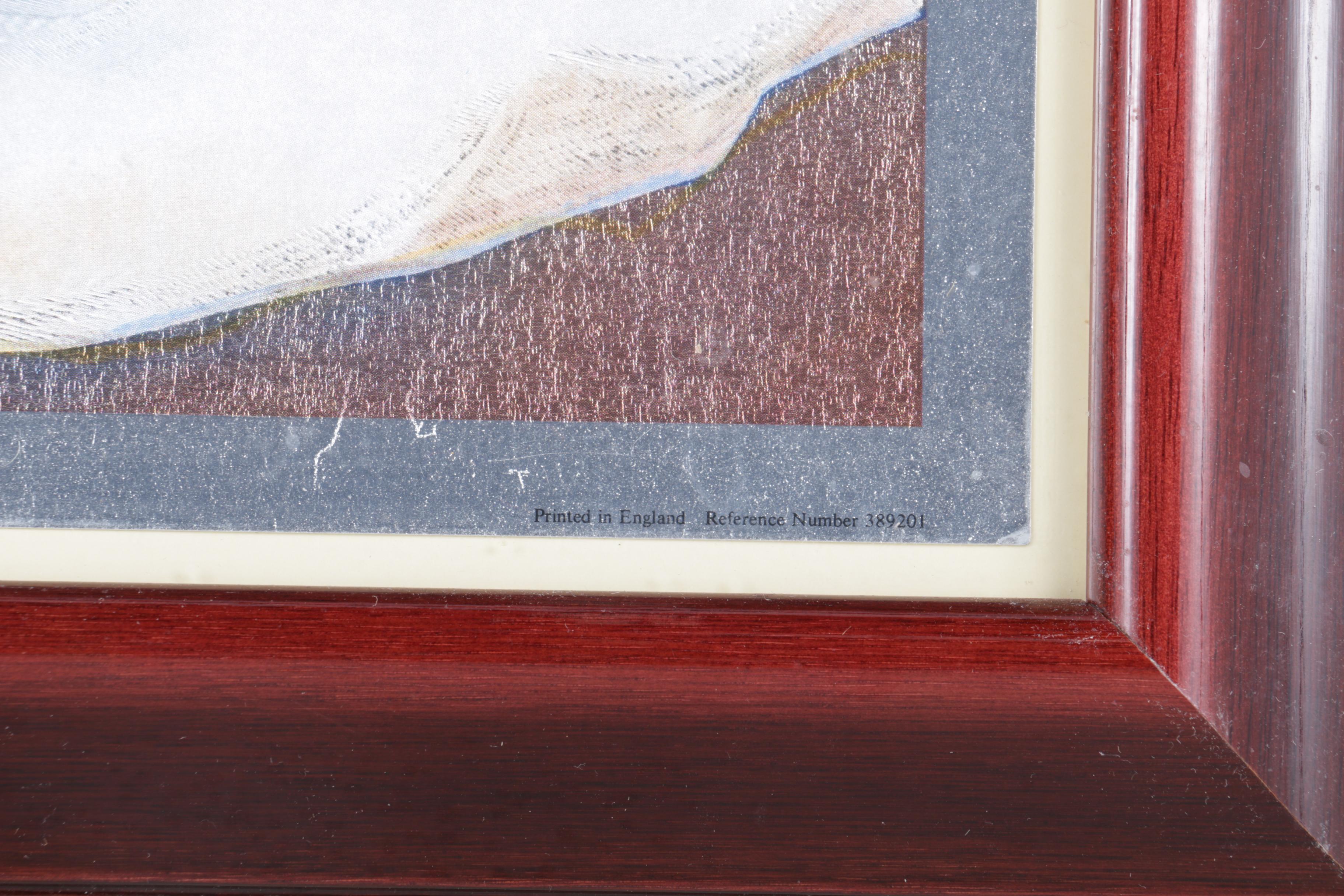 Offset Lithographic Reproduction Print on Foil After Yoshimi "Minetta"