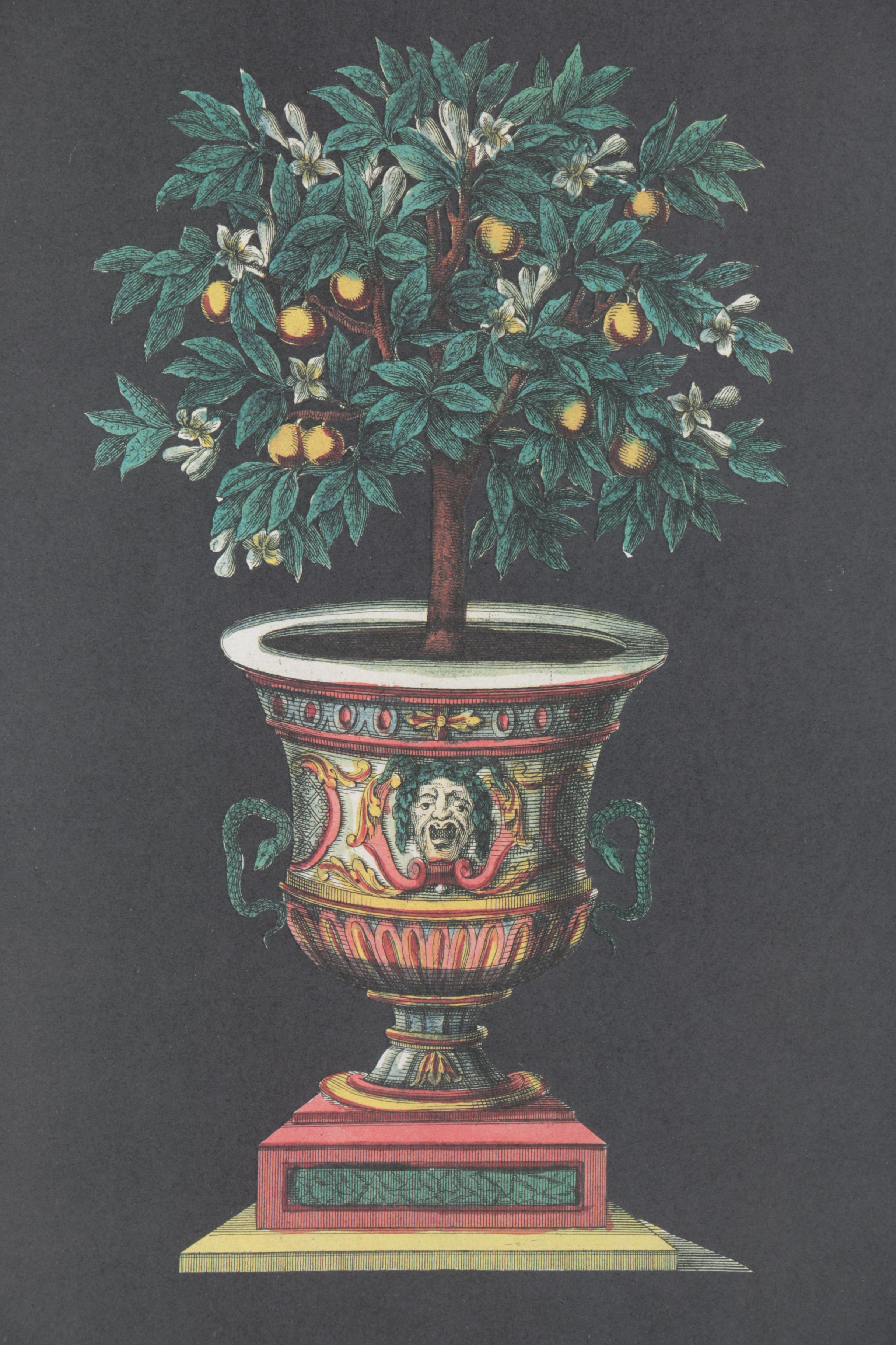 Reproduction Print on Paper of Fruit Tree