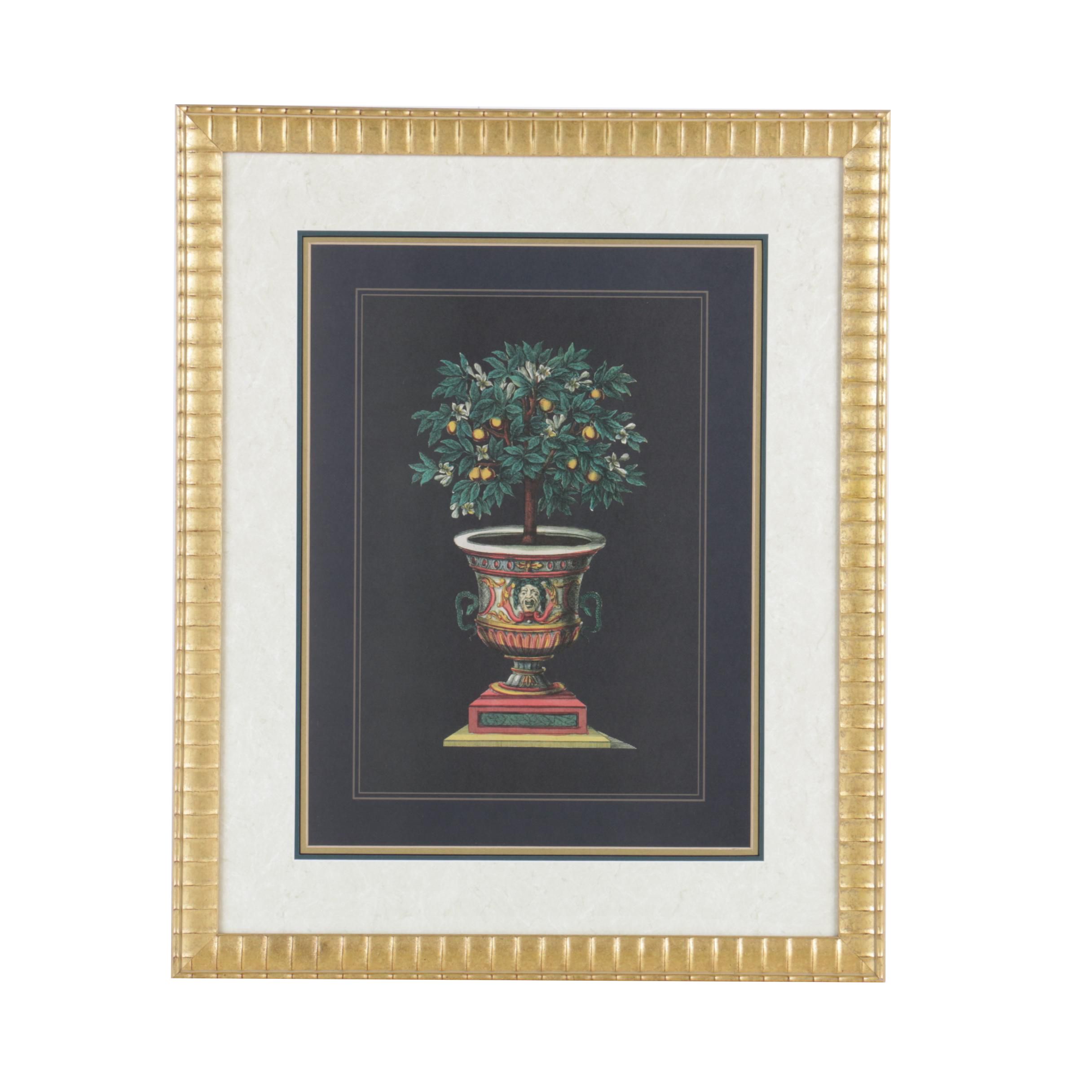 Reproduction Print on Paper of Fruit Tree