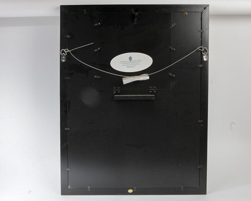 America the Beautiful National Parks Coin Collection Frame