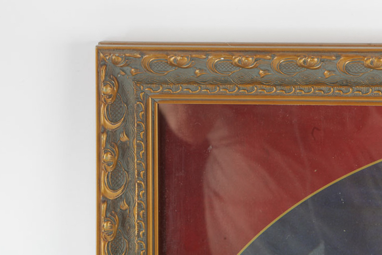 Presidential Dollar Coin Collection Frames