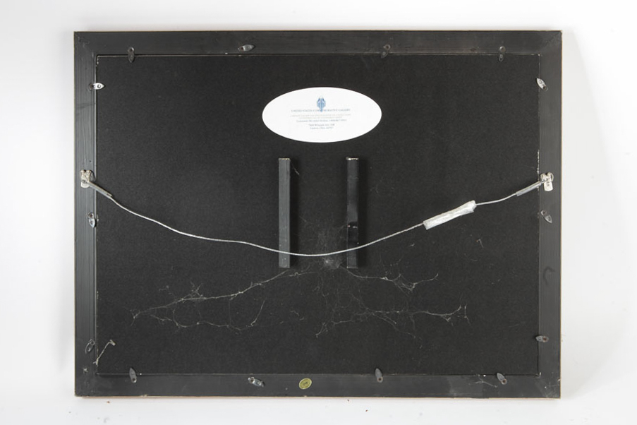 Presidential Dollar Coin Collection Frames