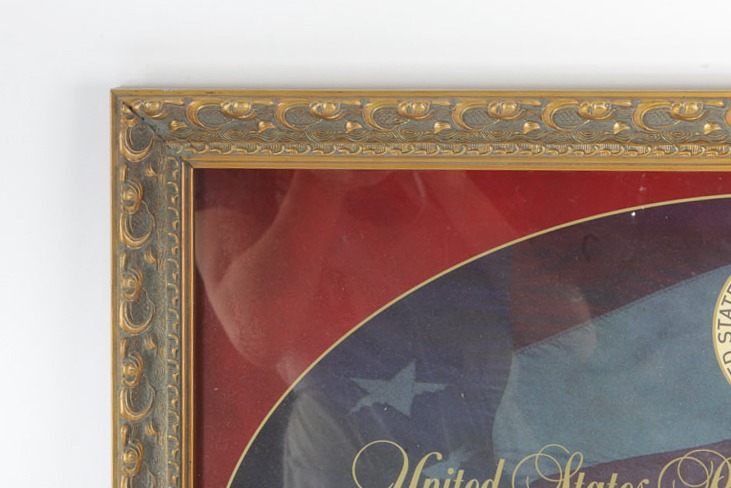 Presidential Dollar Coin Collection Frames
