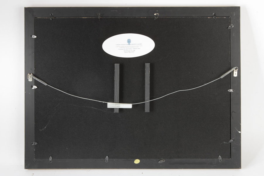 Presidential Dollar Coin Collection Frames