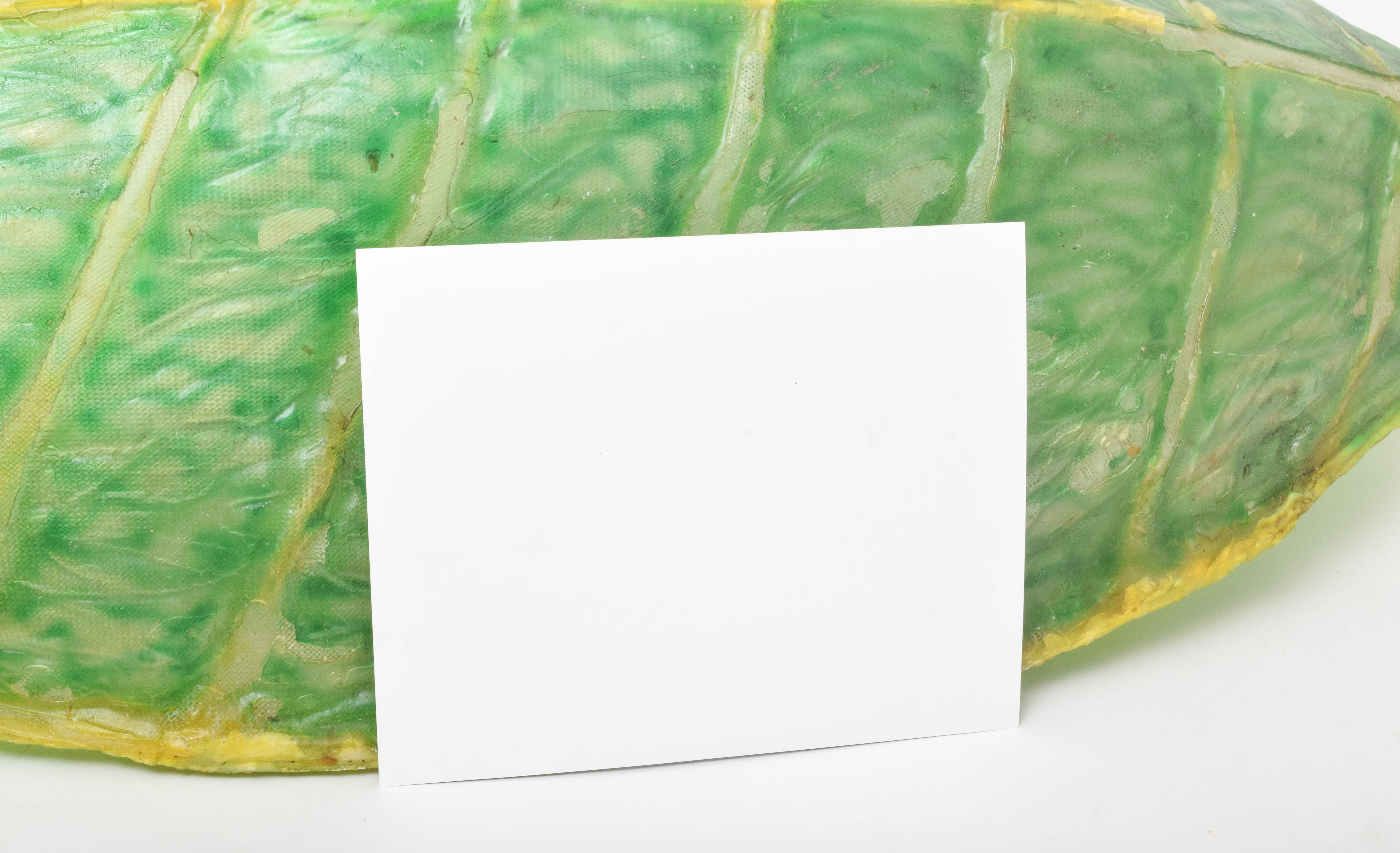 Autographed "Innerspace" Prop and Kevin McCarthy Signed Photo