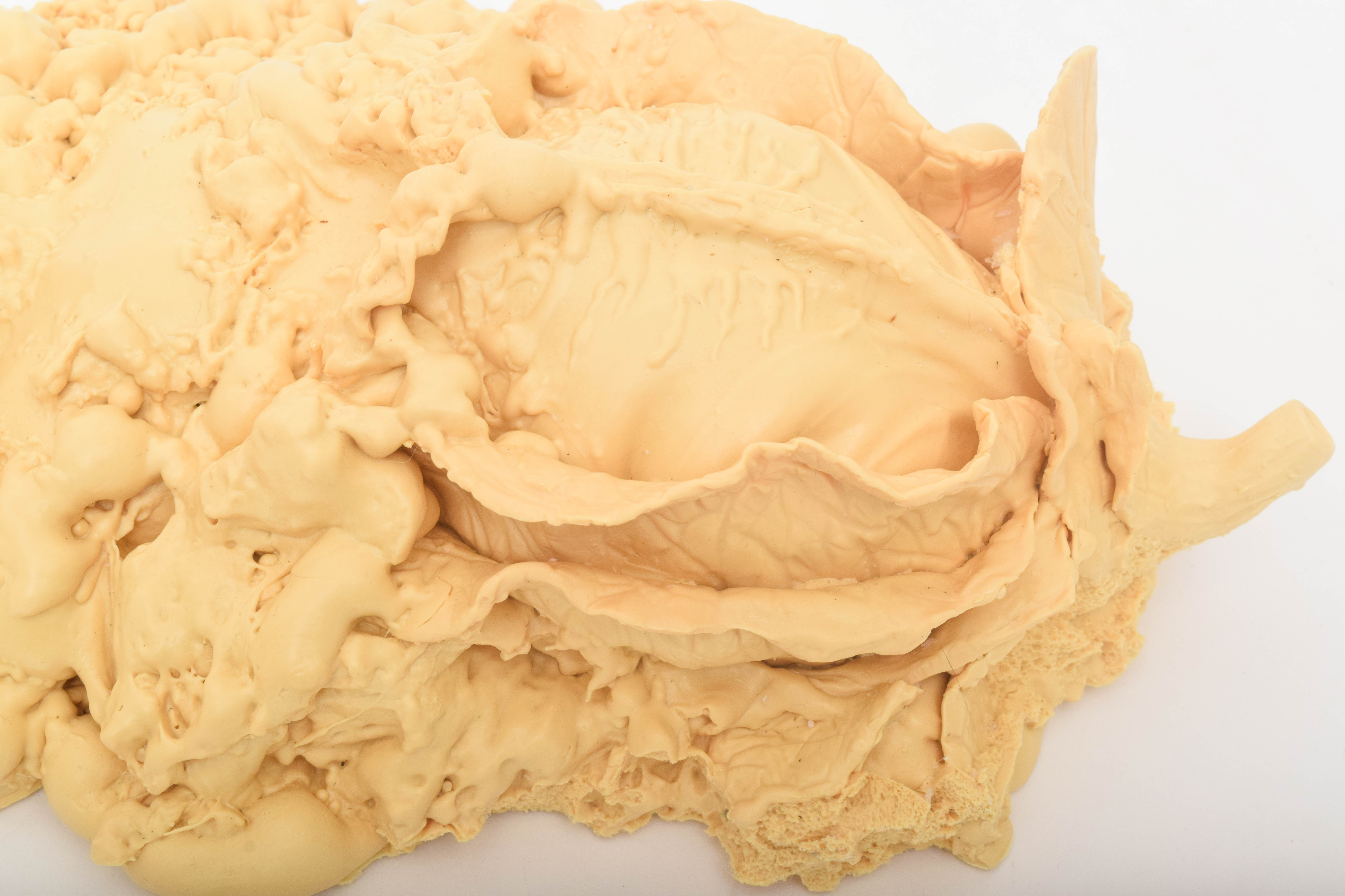 Creature Arts Model Kit of Kevin McCarthy in Invasion of the Body Snatchers