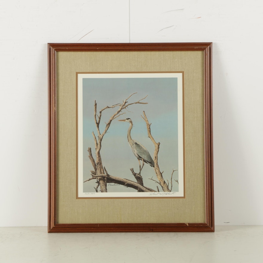 Richard Plasschaert Limited Edition Reproduction Print of Heron