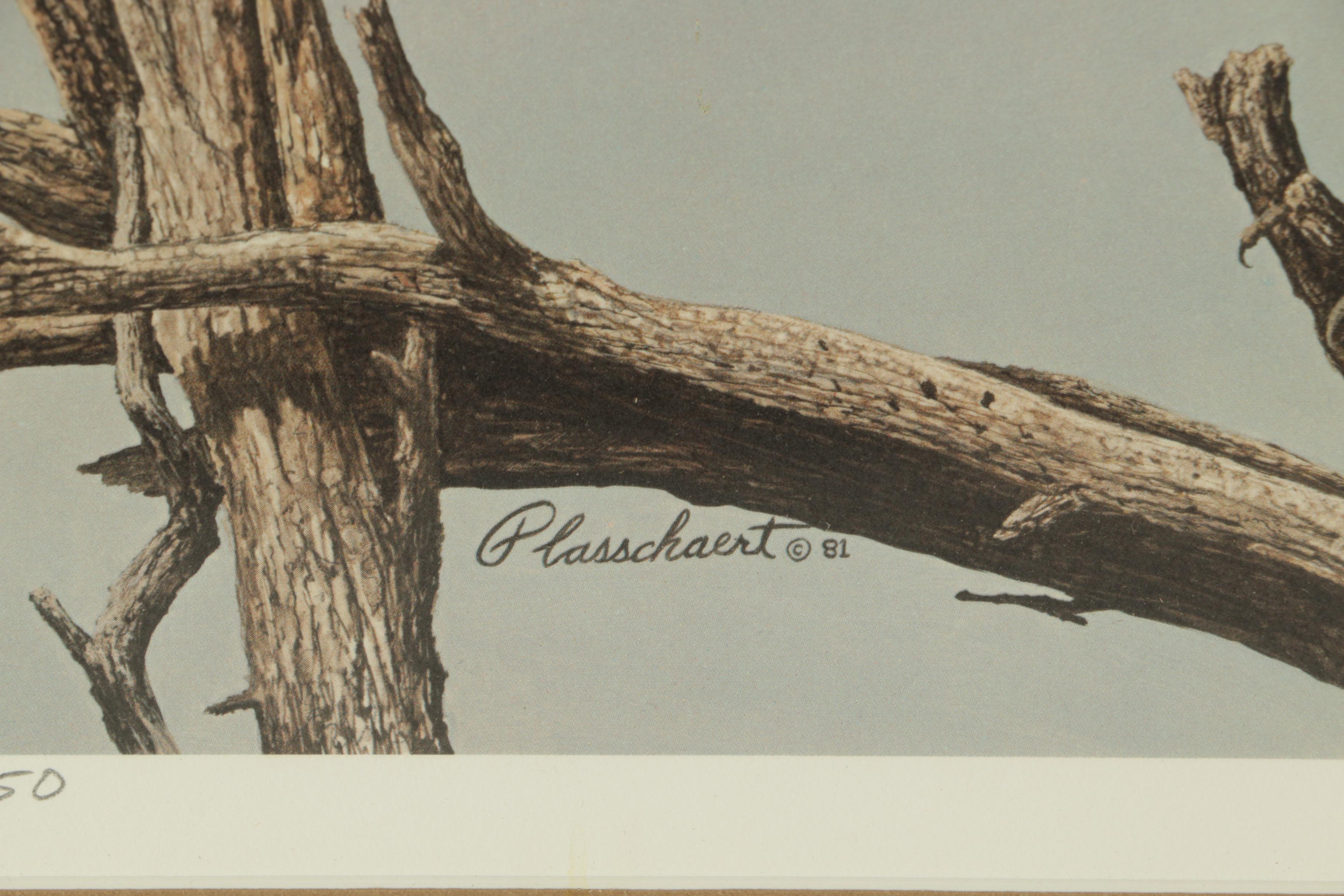 Richard Plasschaert Limited Edition Reproduction Print of Heron