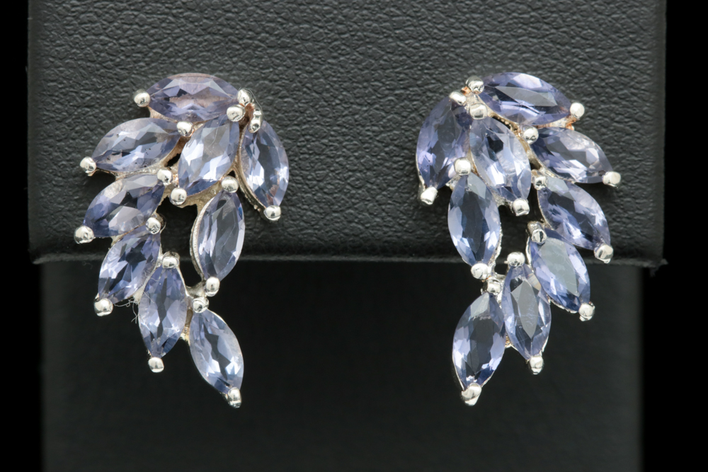 Sterling Silver and Iolite Earrings