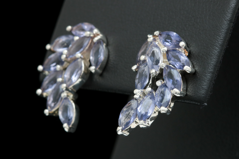 Sterling Silver and Iolite Earrings