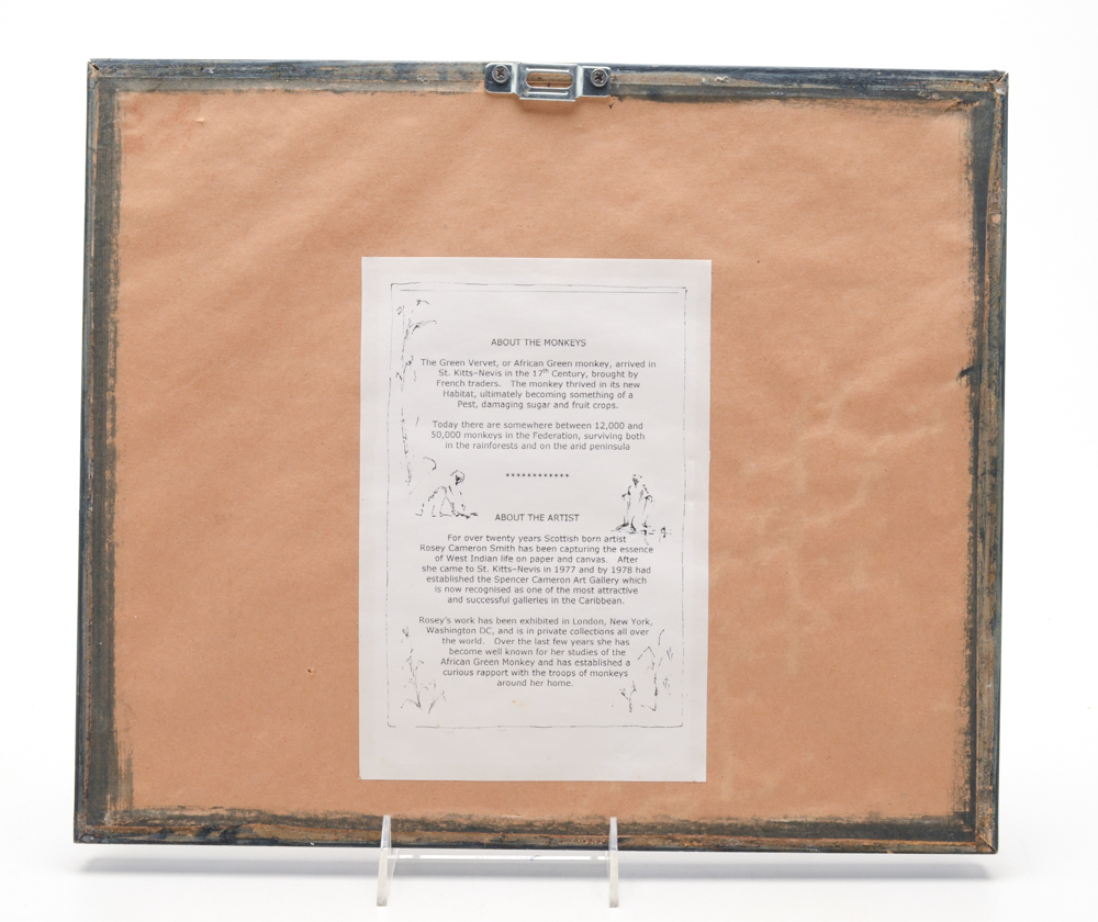 Rosie Cameron Smith Signed Watercolor Painting of a Green Vervet