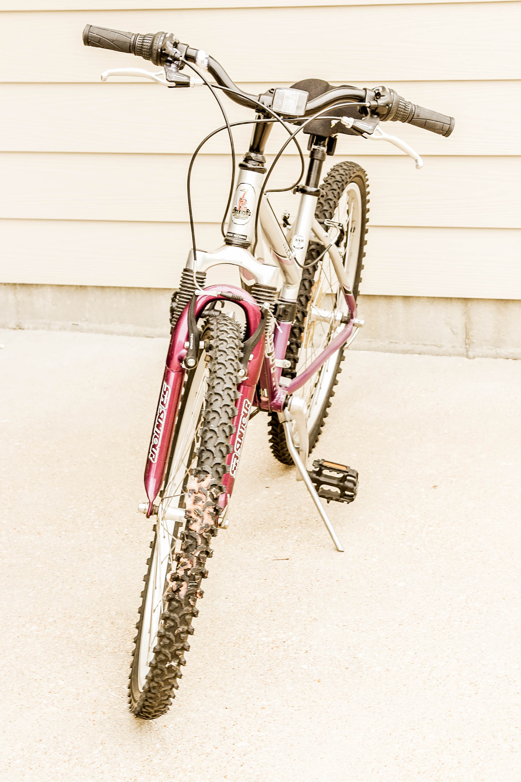 Raleigh M20 Mountain Bike