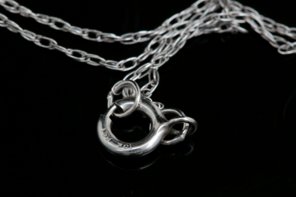 10K White Gold and Diamond Pendant with Chain