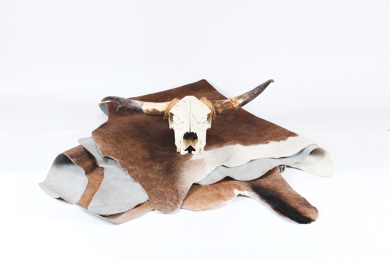 Authentic Bull Skull and Cowhide Area Rug