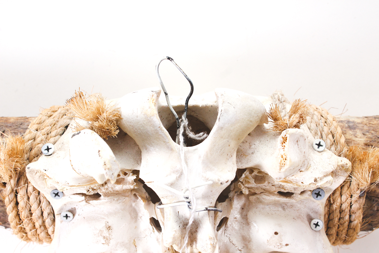 Authentic Bull Skull and Cowhide Area Rug