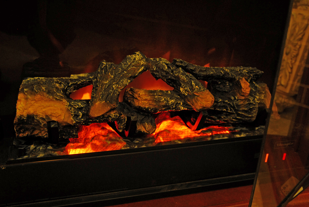 Freestanding Electric Fireplace by Charmglow