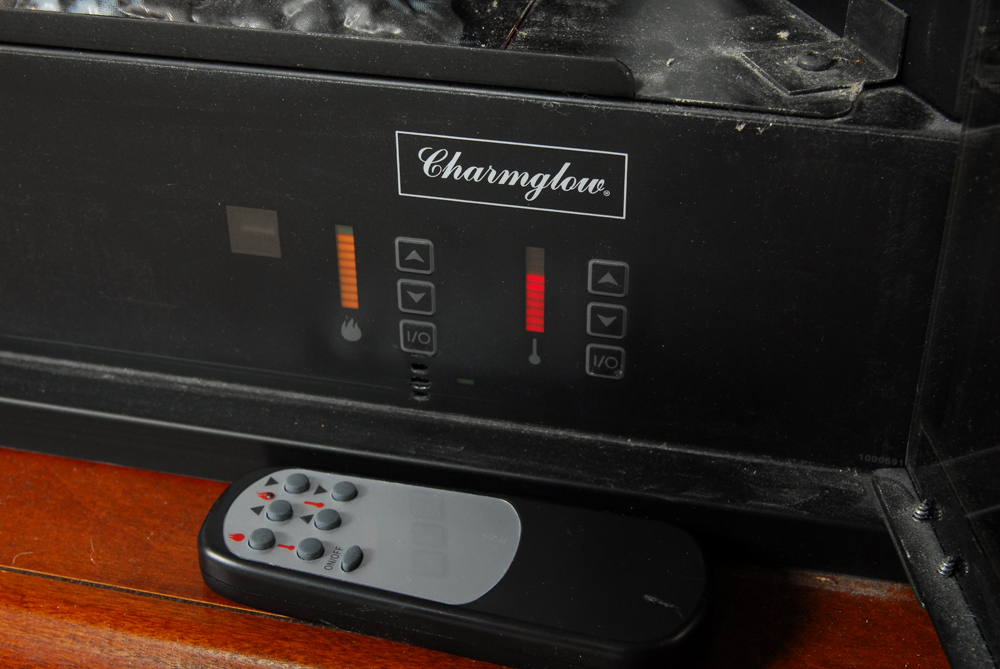 Freestanding Electric Fireplace by Charmglow