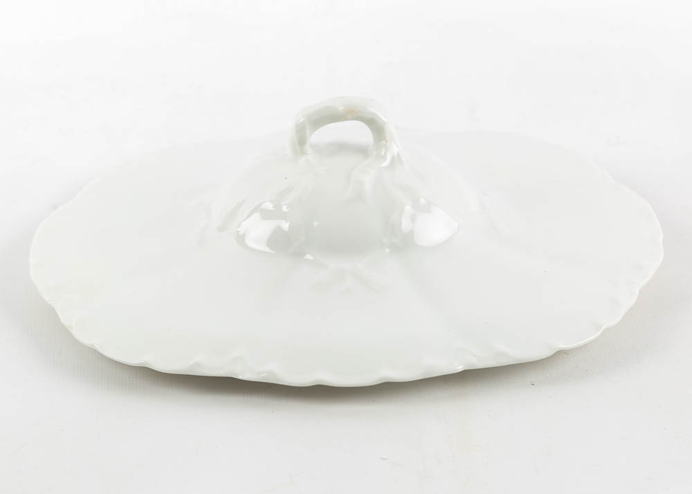 Haviland Limoges Ivory China