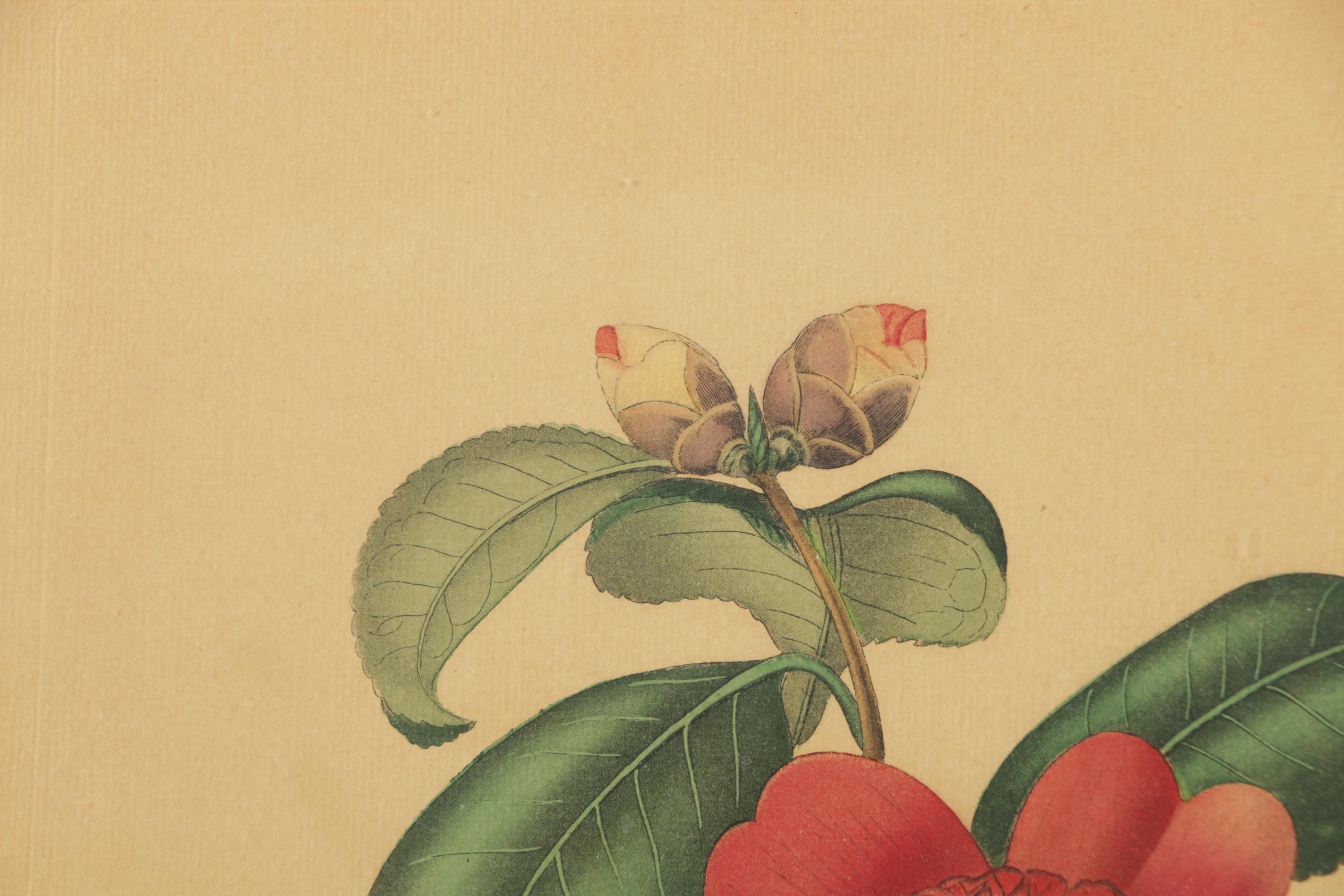 Two Chromolithograph Prints on Paper of Flowers