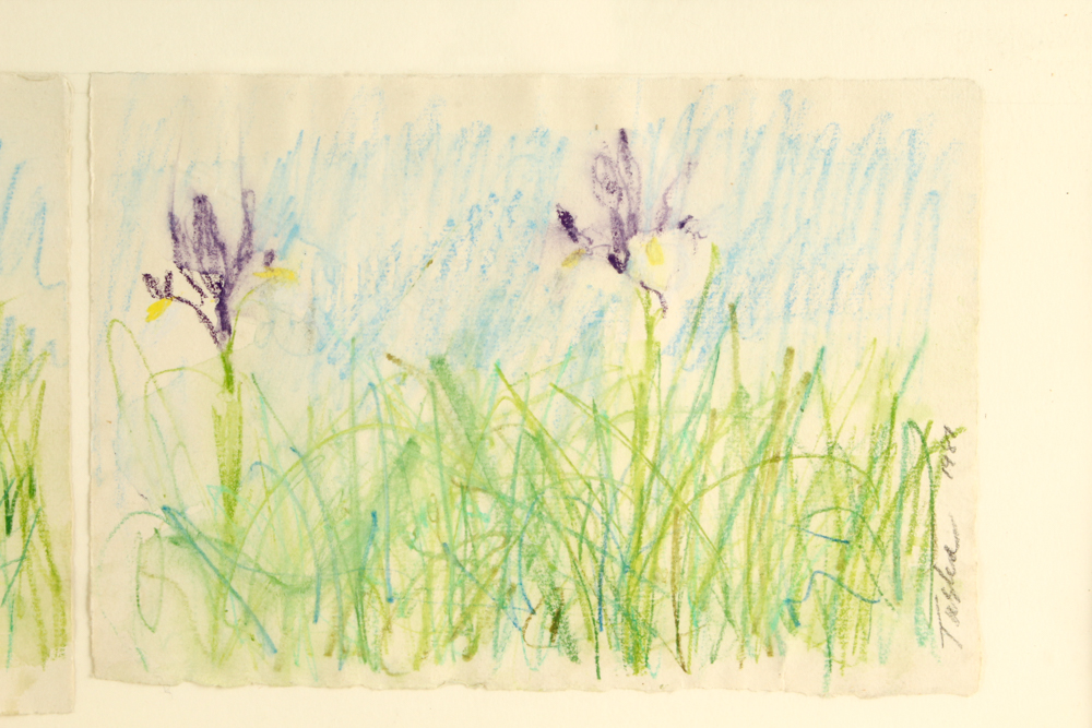 John Tuska Color Drawing on Paper Quadriptych