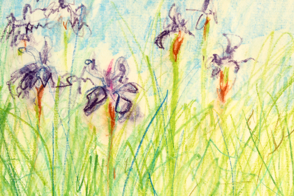 John Tuska Color Drawing on Paper Quadriptych