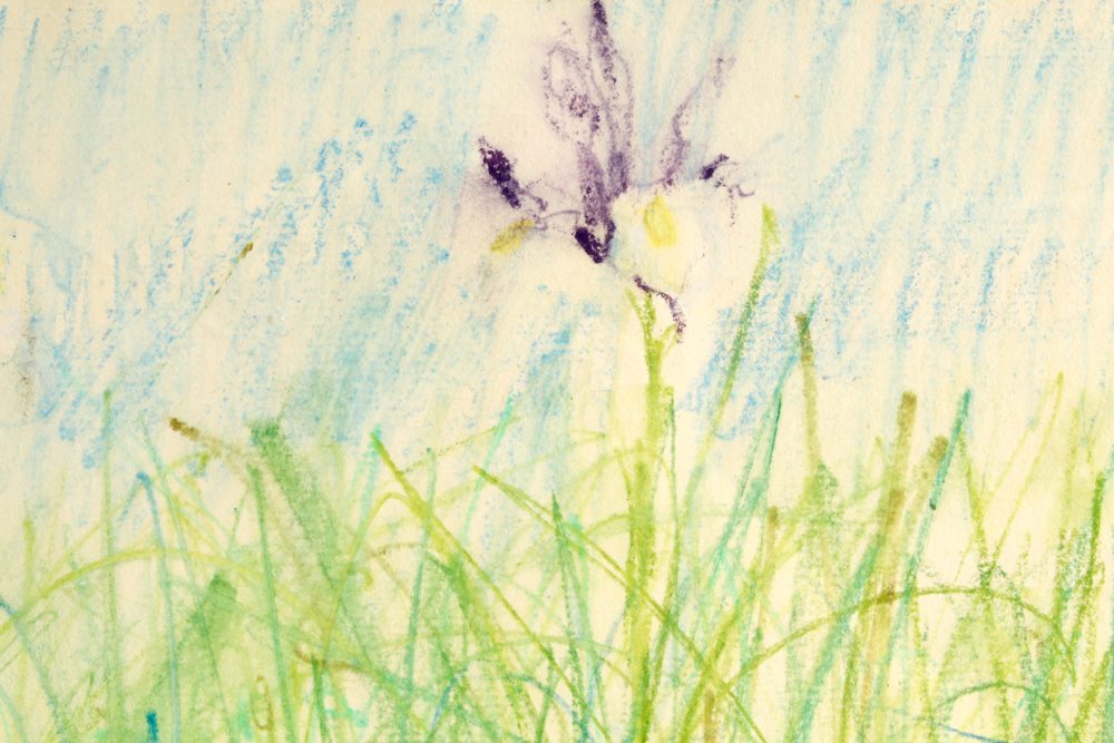 John Tuska Color Drawing on Paper Quadriptych