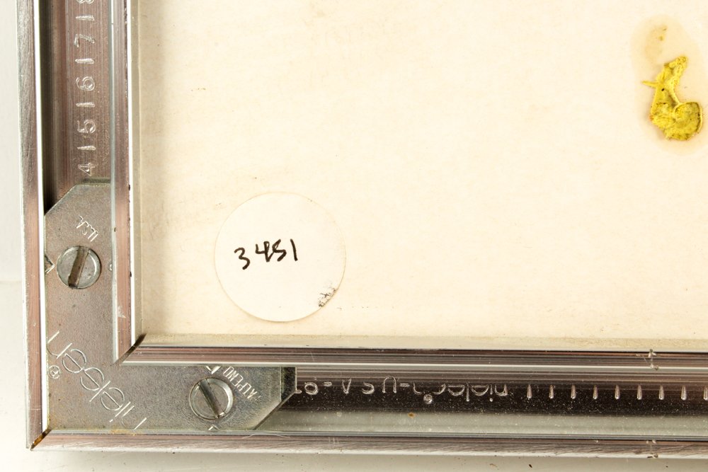 John Tuska Color Drawing on Paper Quadriptych