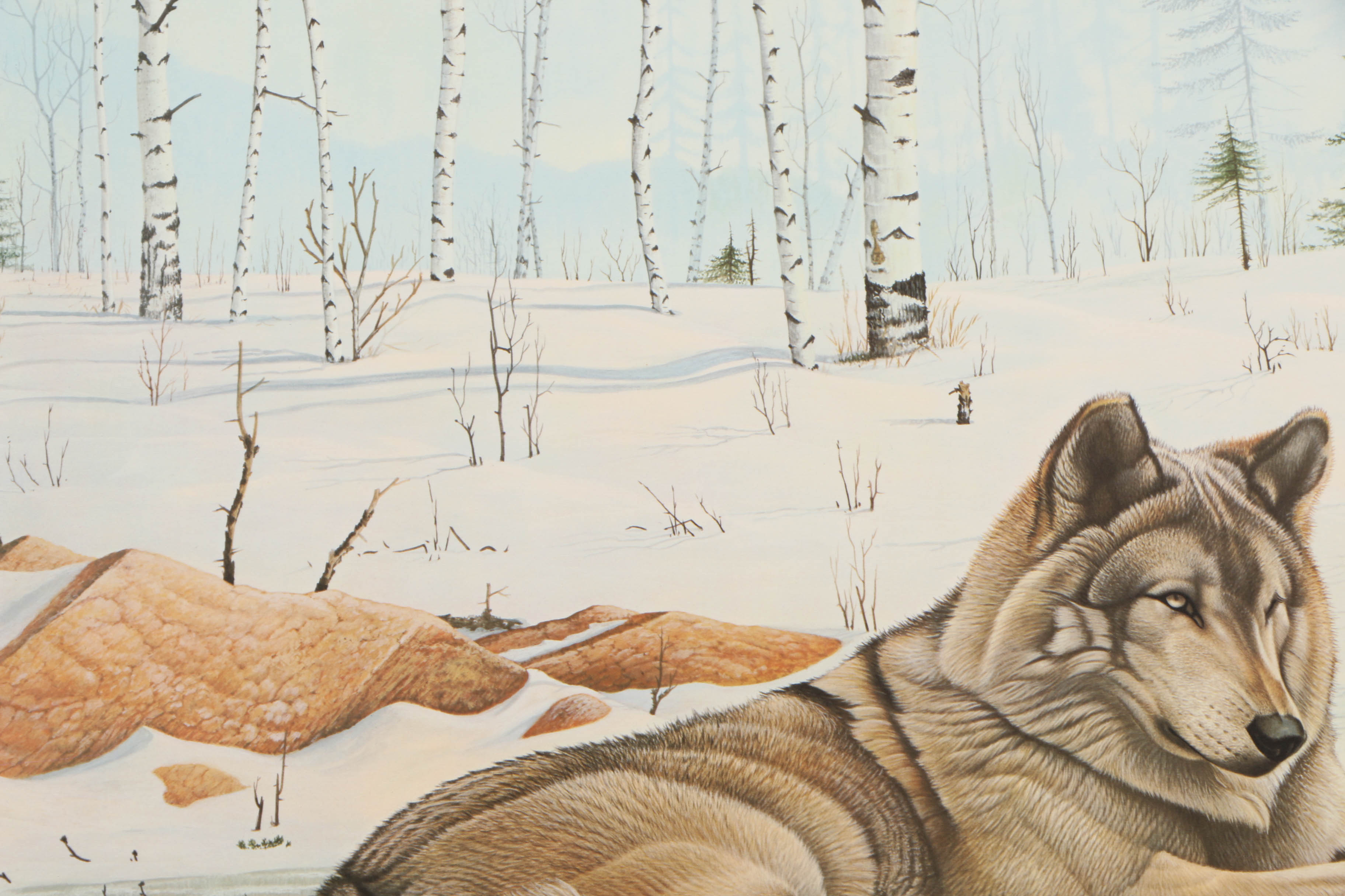 Richard Evans Younger Offset Lithographs "Bobcat" and "Eastern Timber Wolf"