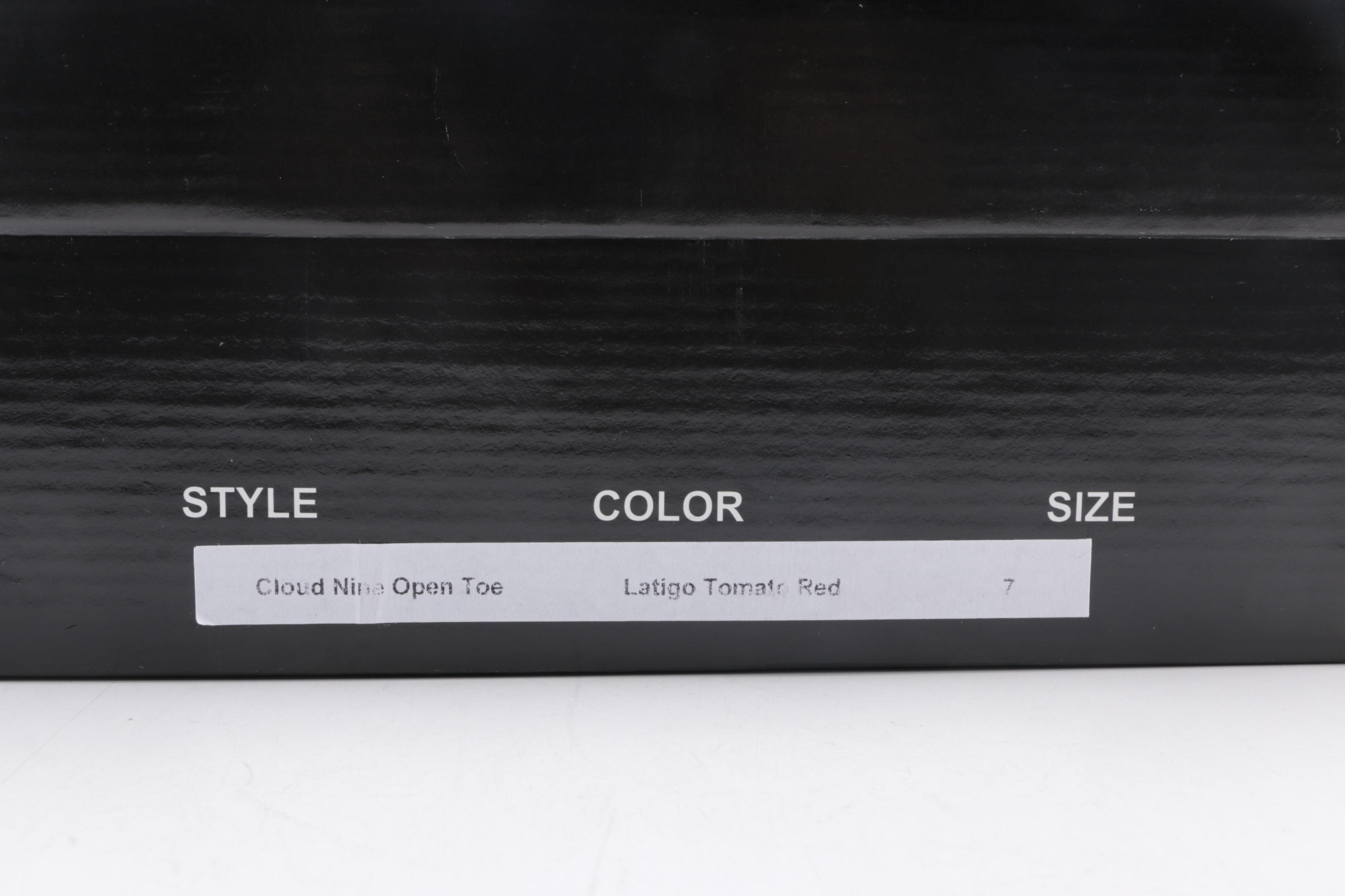 Christopher Coy Cloud Nine Prototype Heels in Red Leather