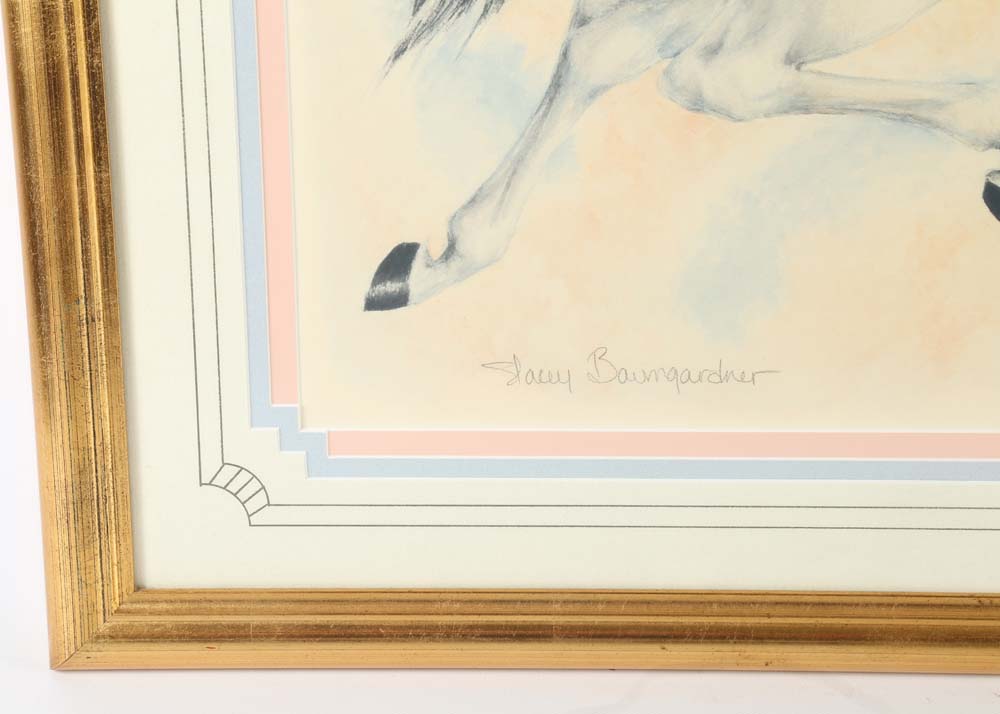 Signed Limited Edition Offset Lithograph by Stacey Baumgardner