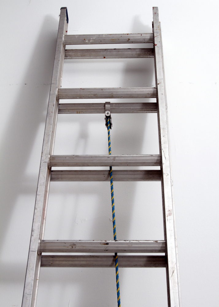 20' Werner Aluminum Ladder
