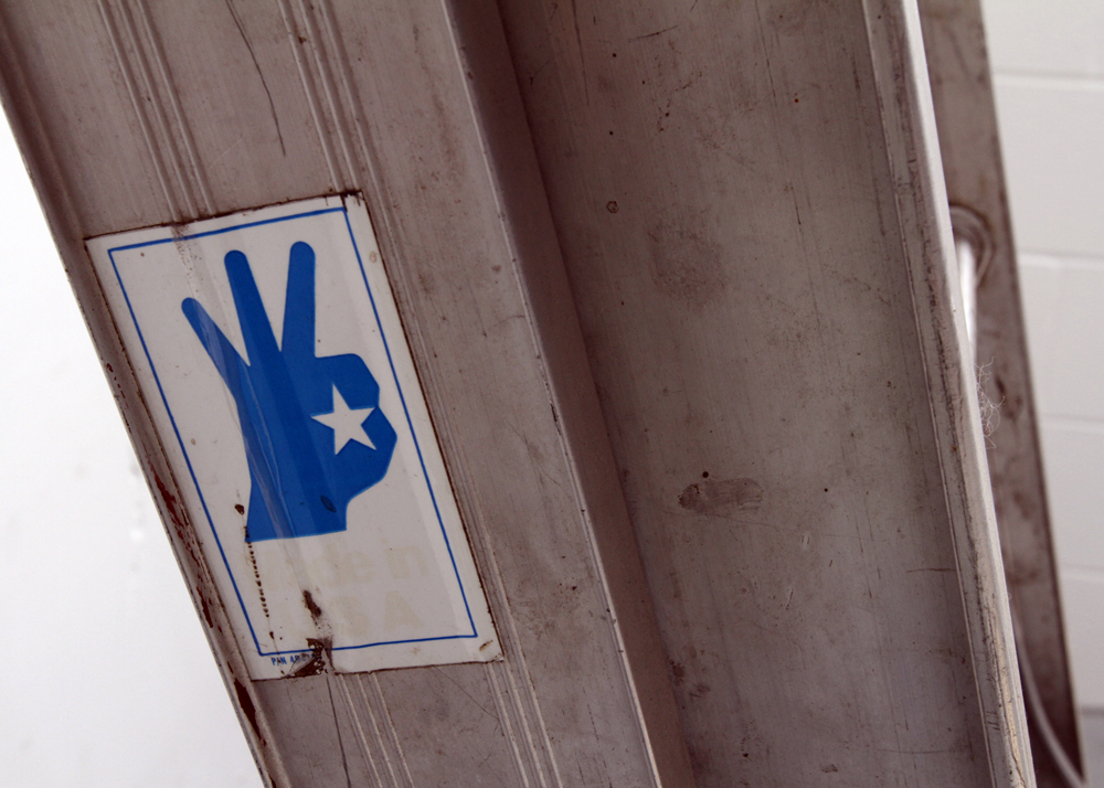 20' Werner Aluminum Ladder