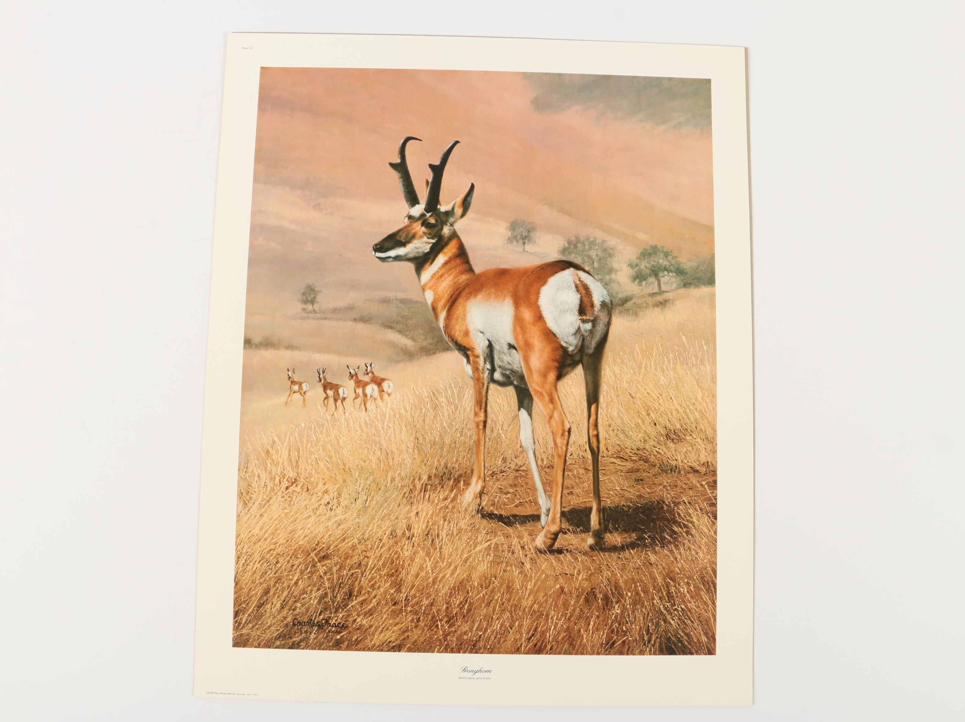 Offset Lithographs After Ray Harm's "Black Bear" and Charles Fracé's "Pronghorn"