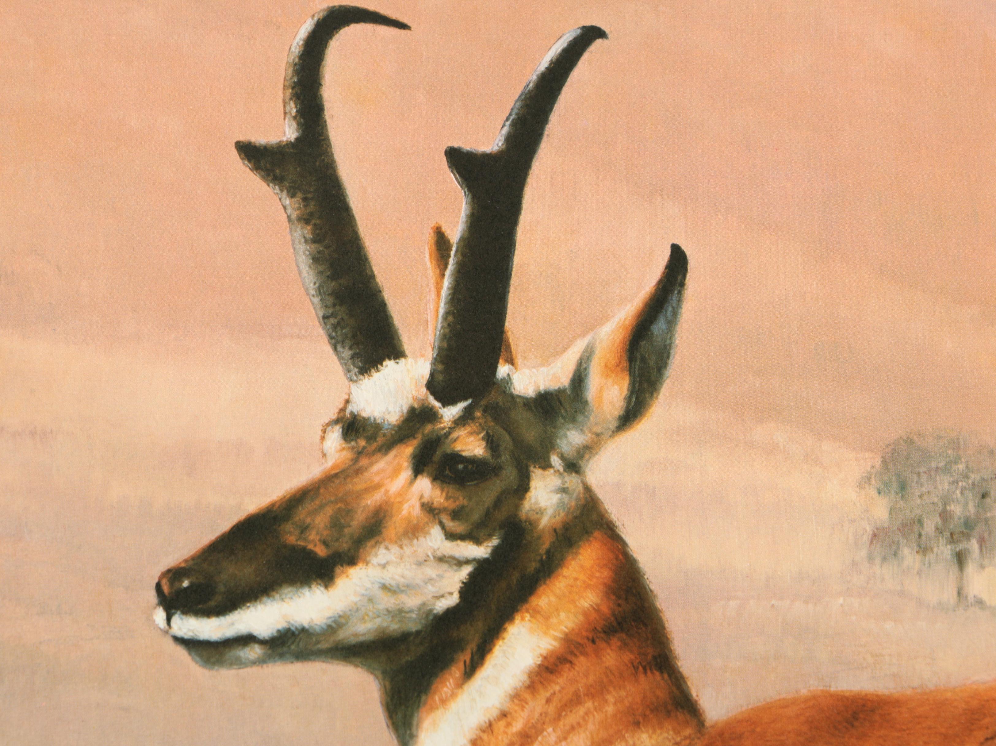 Offset Lithographs After Ray Harm's "Black Bear" and Charles Fracé's "Pronghorn"