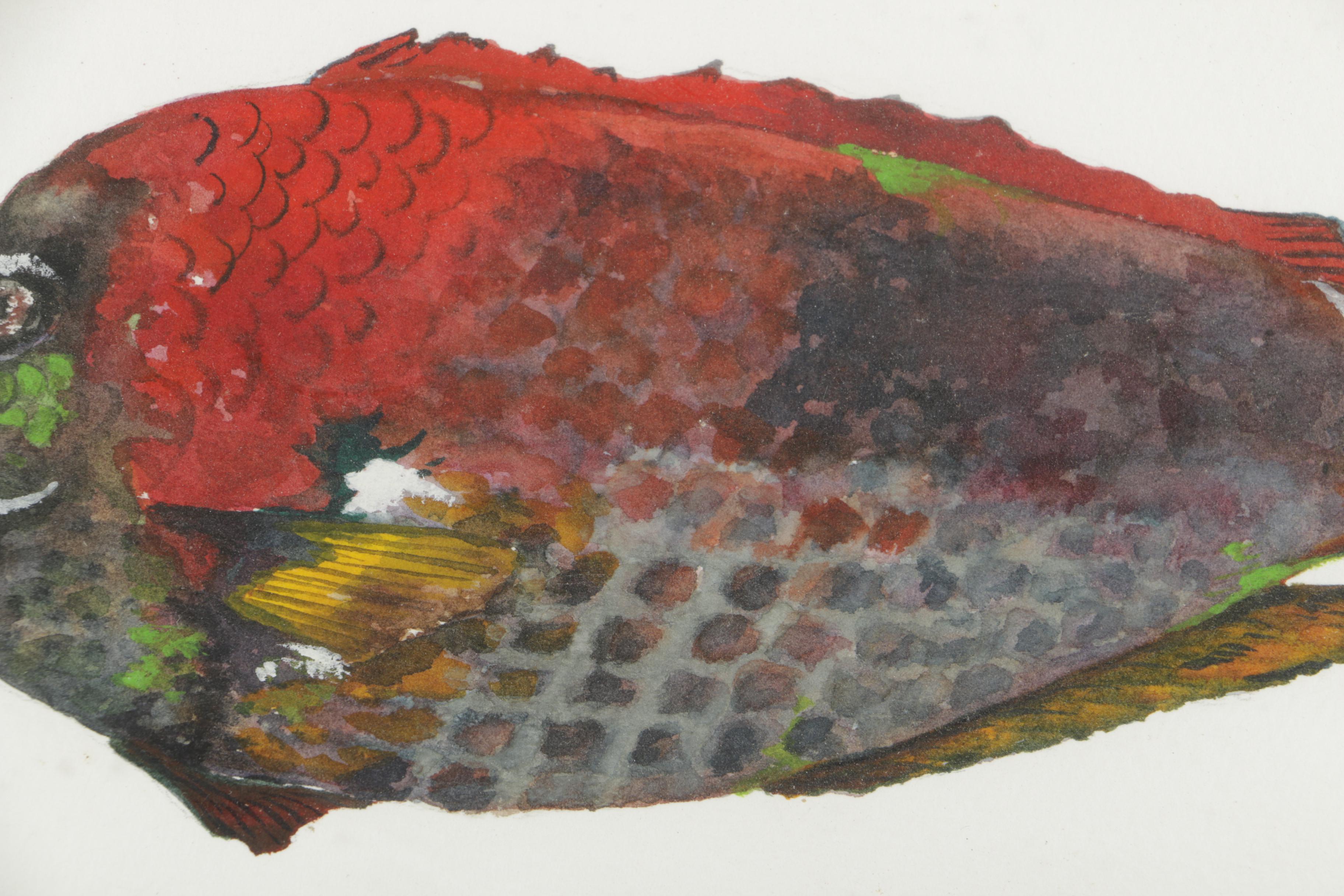 Tsun Ming Chmielinski Watercolor Painting on Paper of Multicolored Fish