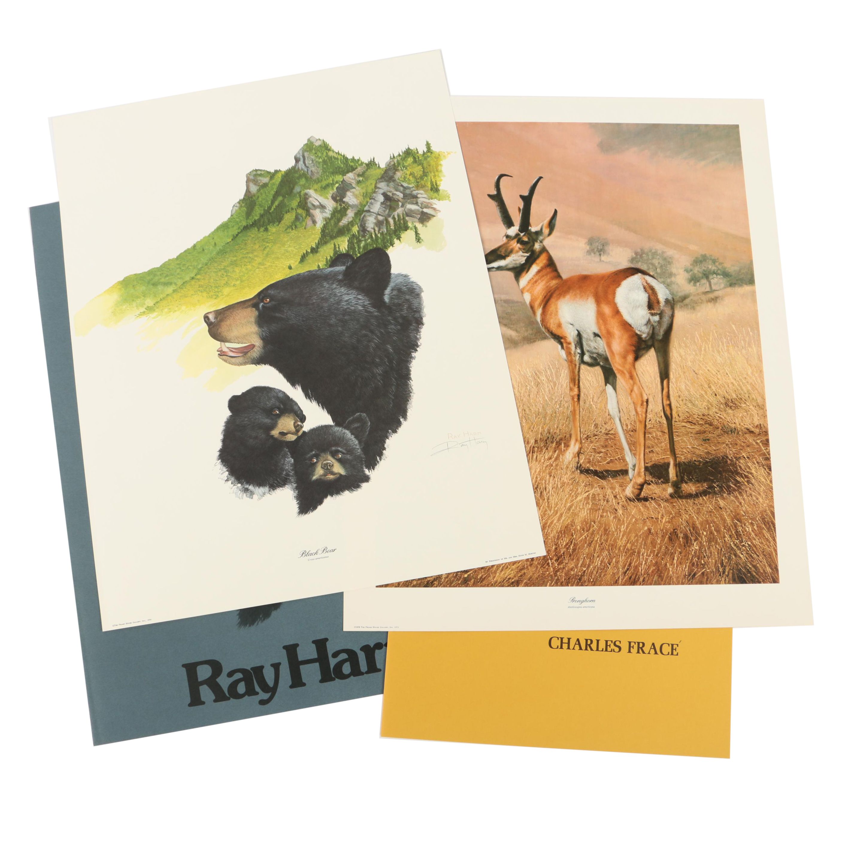 Offset Lithographs After Ray Harm's "Black Bear" and Charles Fracé's "Pronghorn"