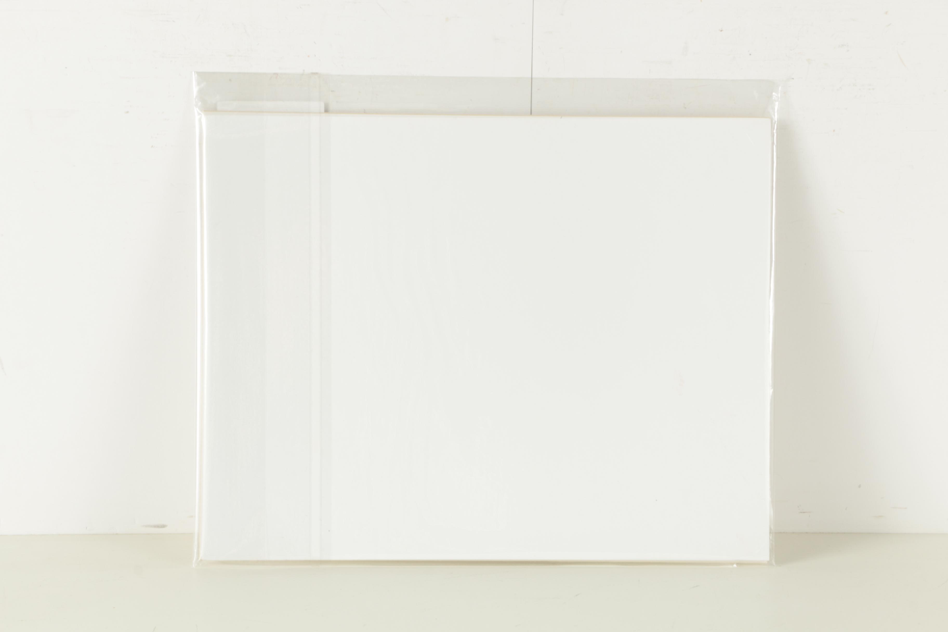 Tsun Ming Chmielinksi Sumi-e Ink Painting of Horse