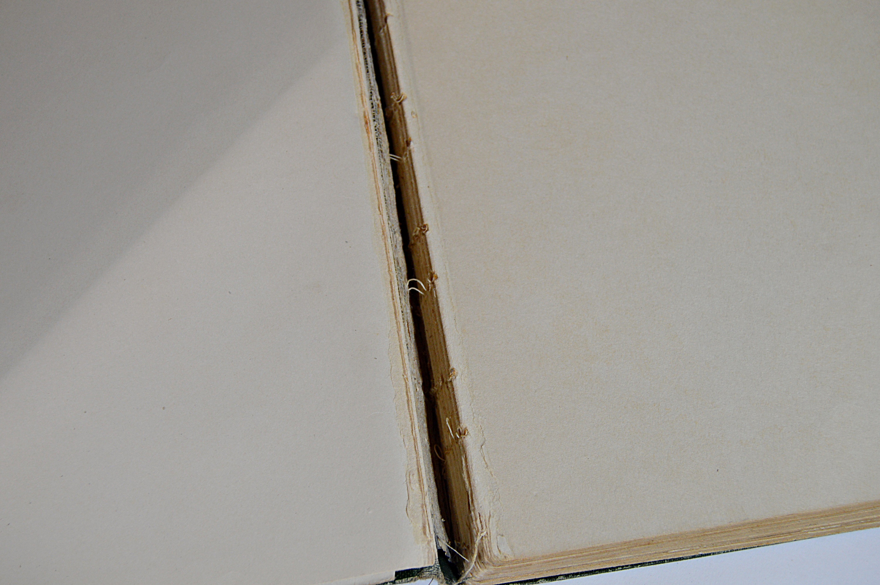 Vintage Wizard of Oz Books