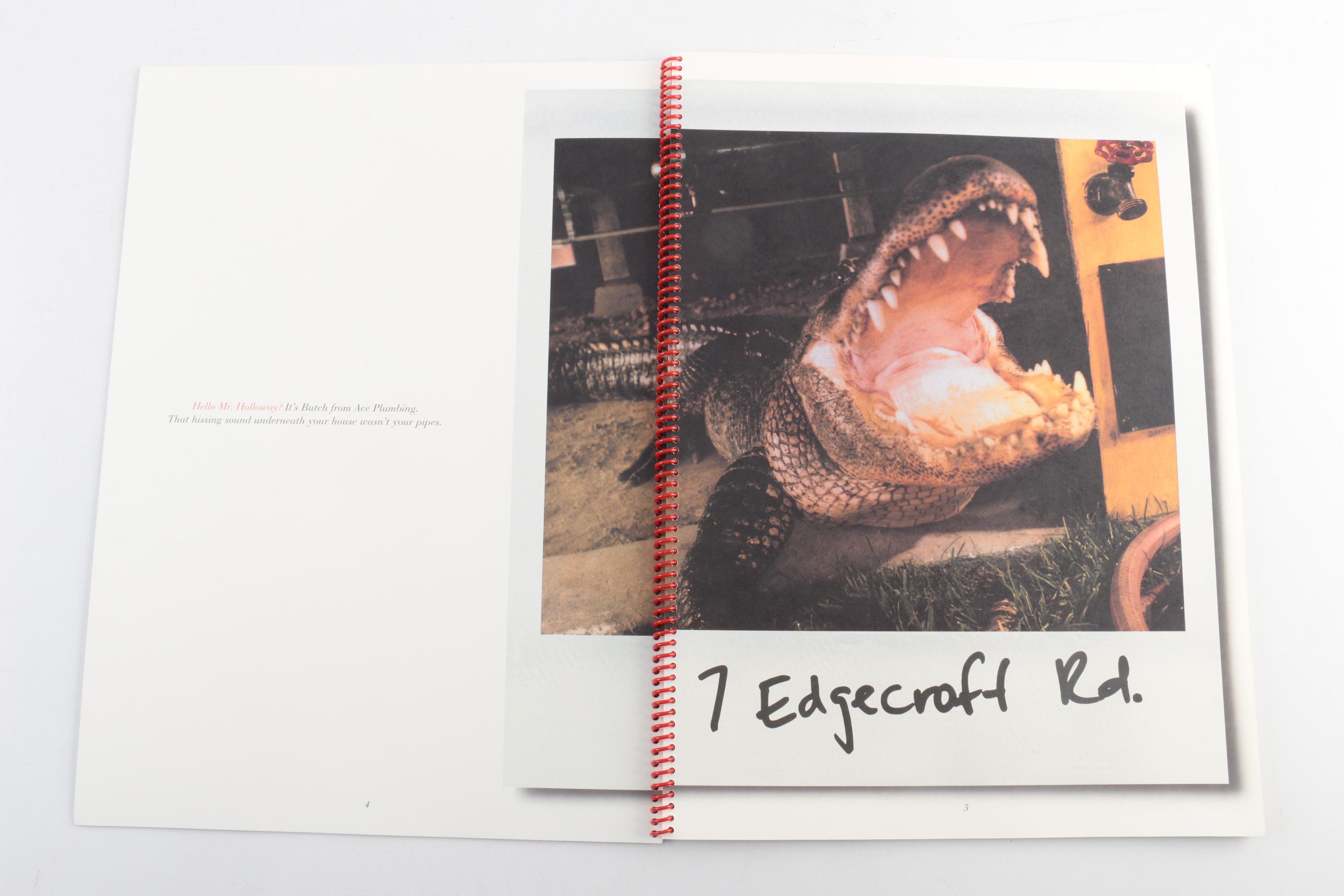 Polaroid Magazines and Reports