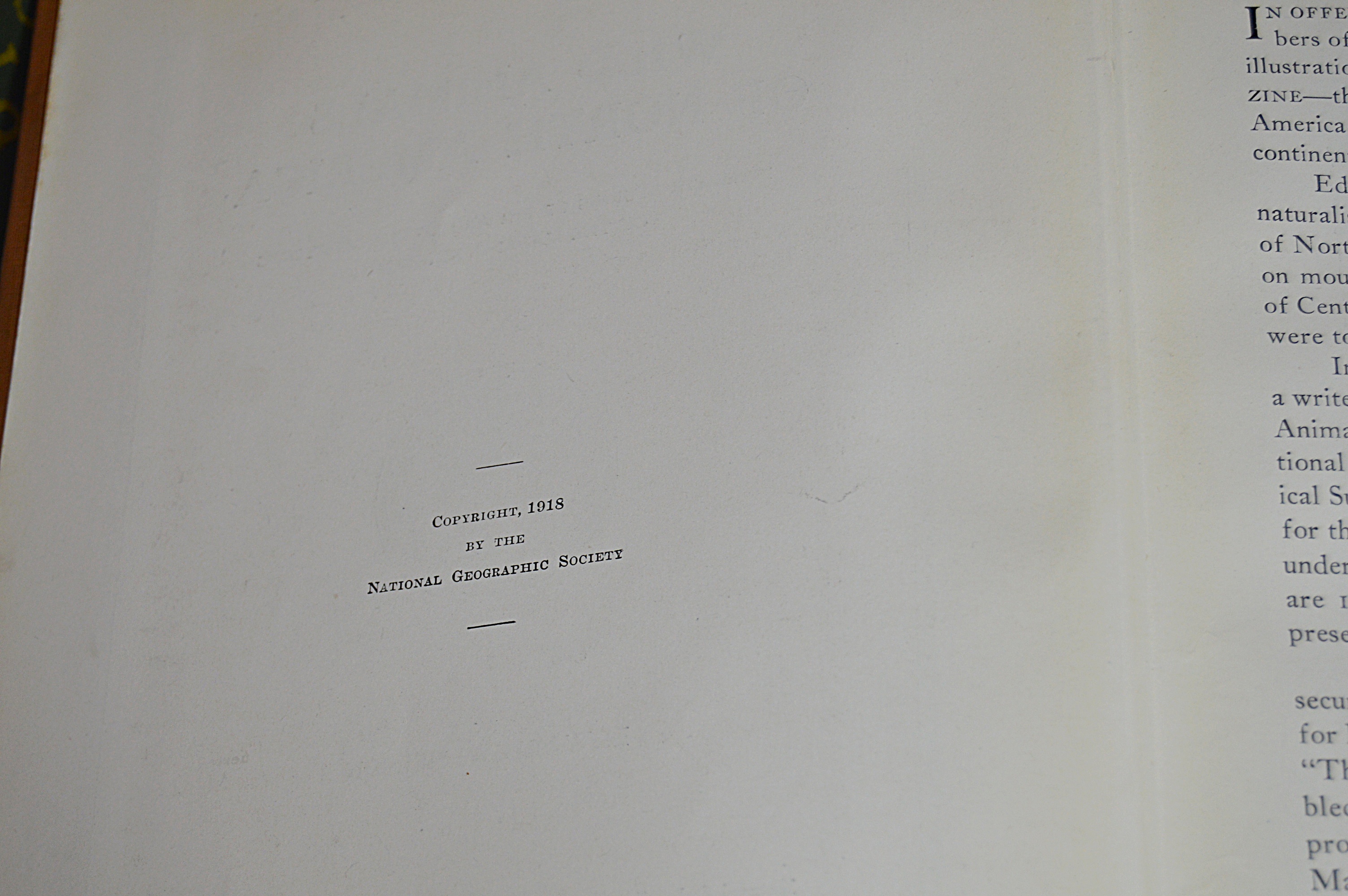 Antique and Vintage Children's Books