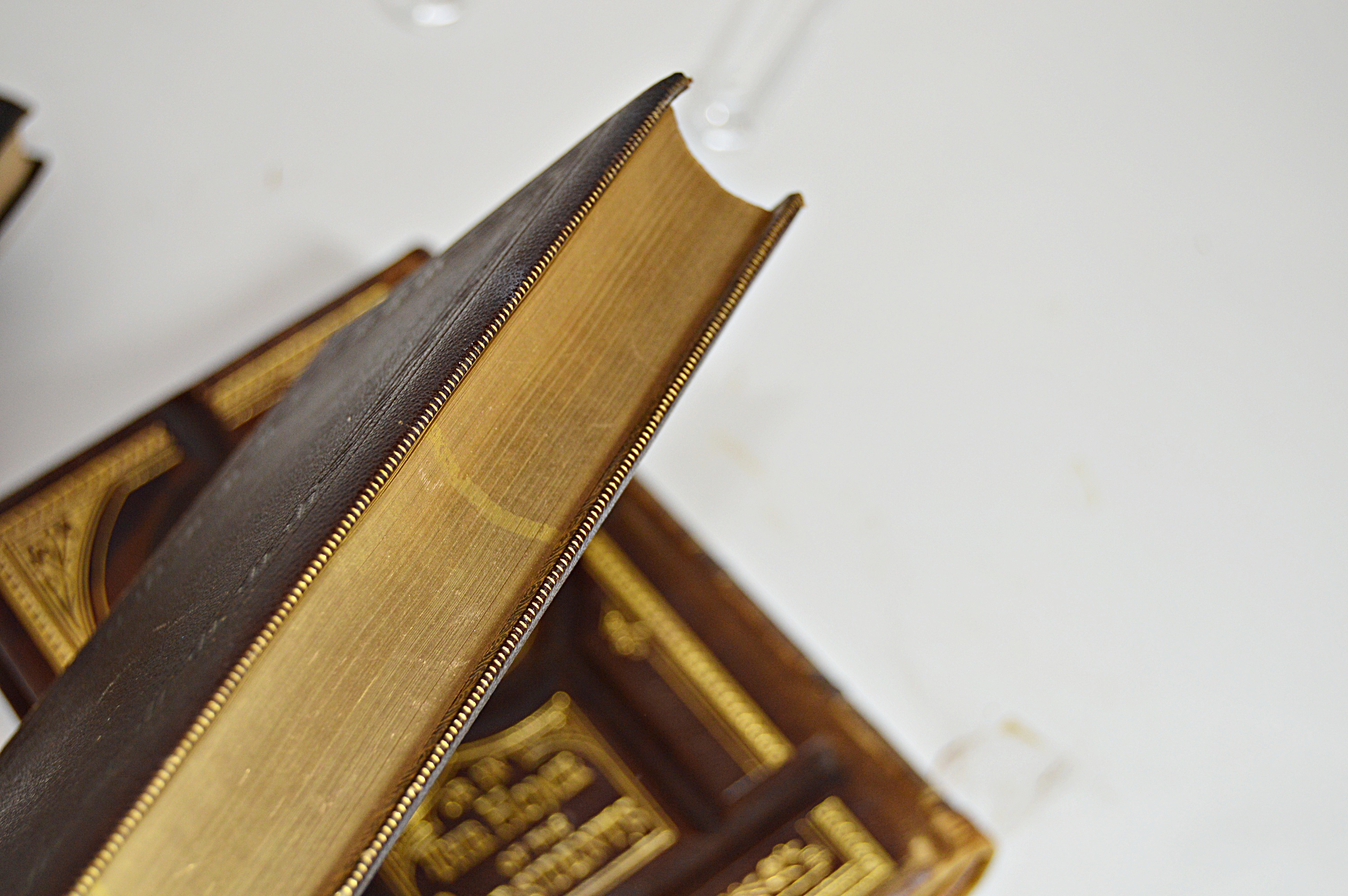 Antique Books with Leather-Bound, Cary, Tennyson