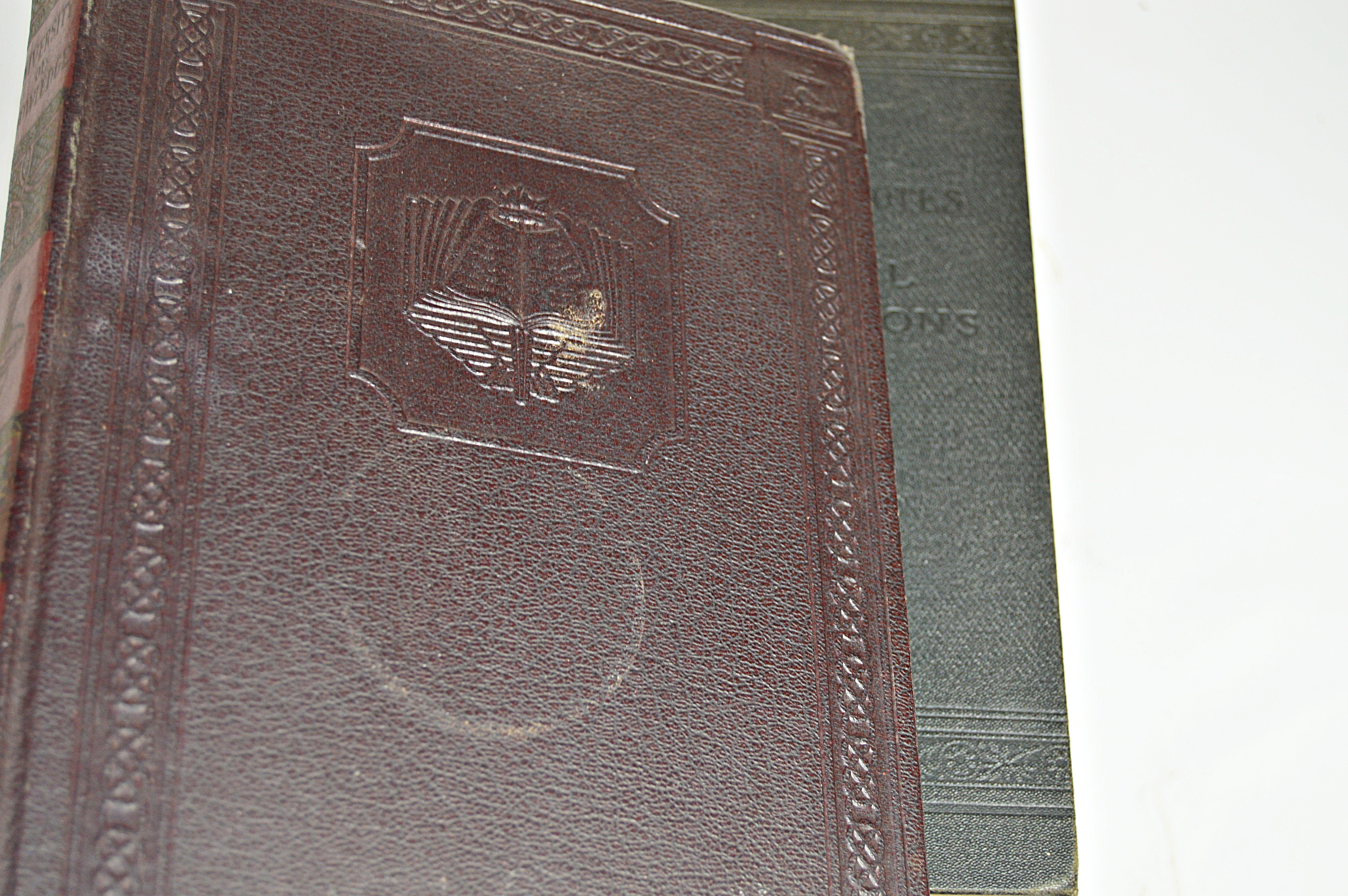 Antique Books with Leather-Bound, Cary, Tennyson