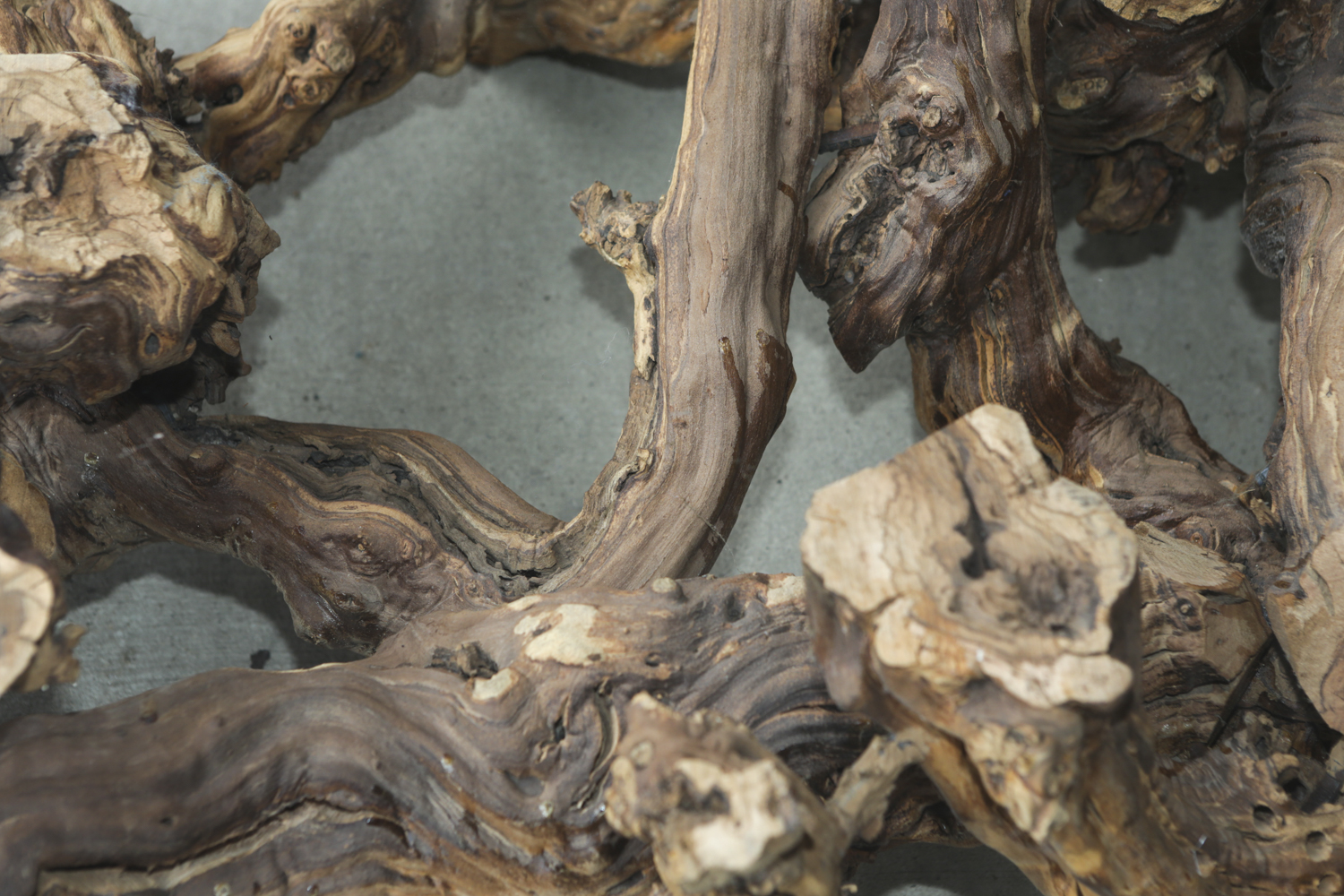 Glass Top Coffee Table with Grapevine Root Base