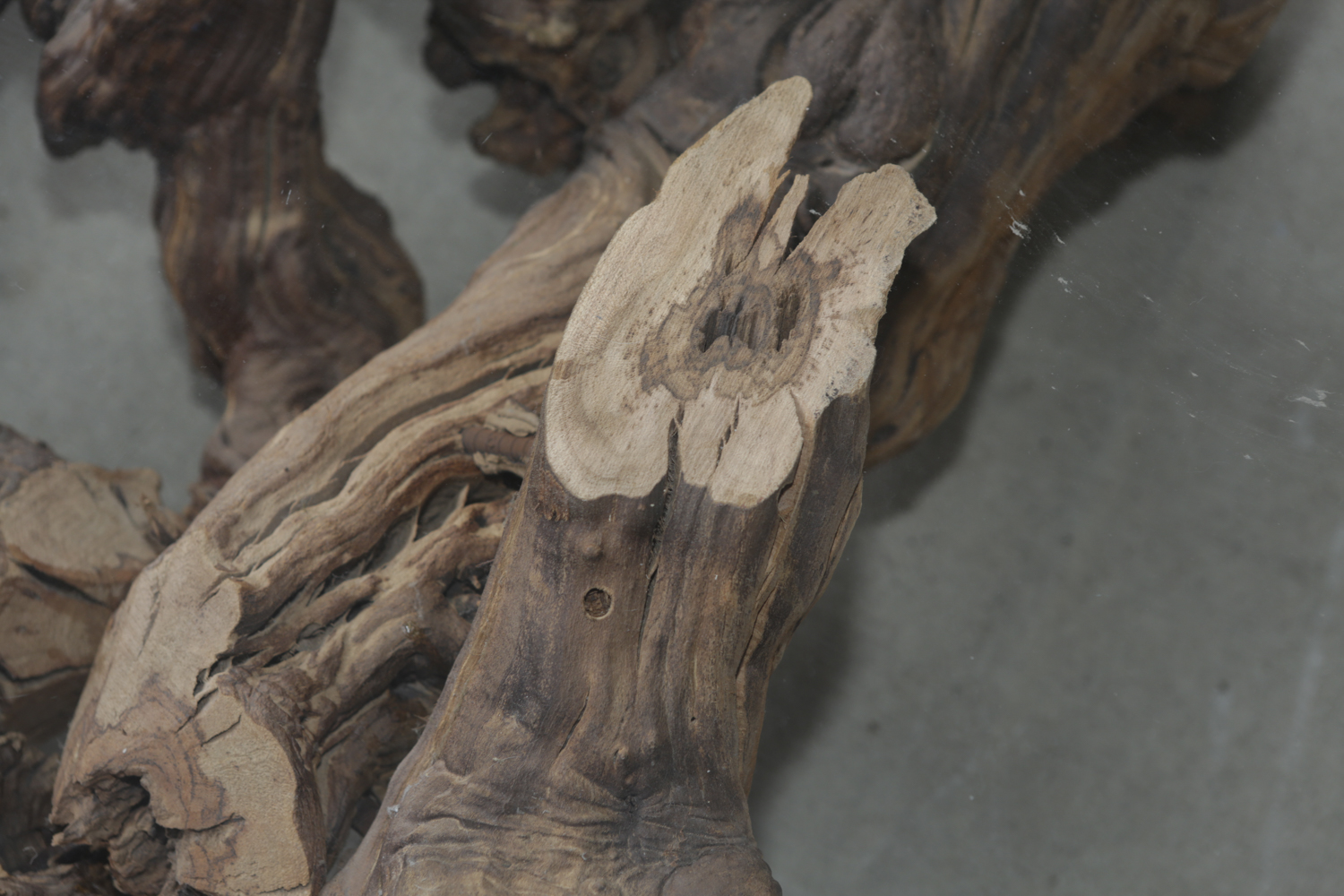 Glass Top Coffee Table with Grapevine Root Base