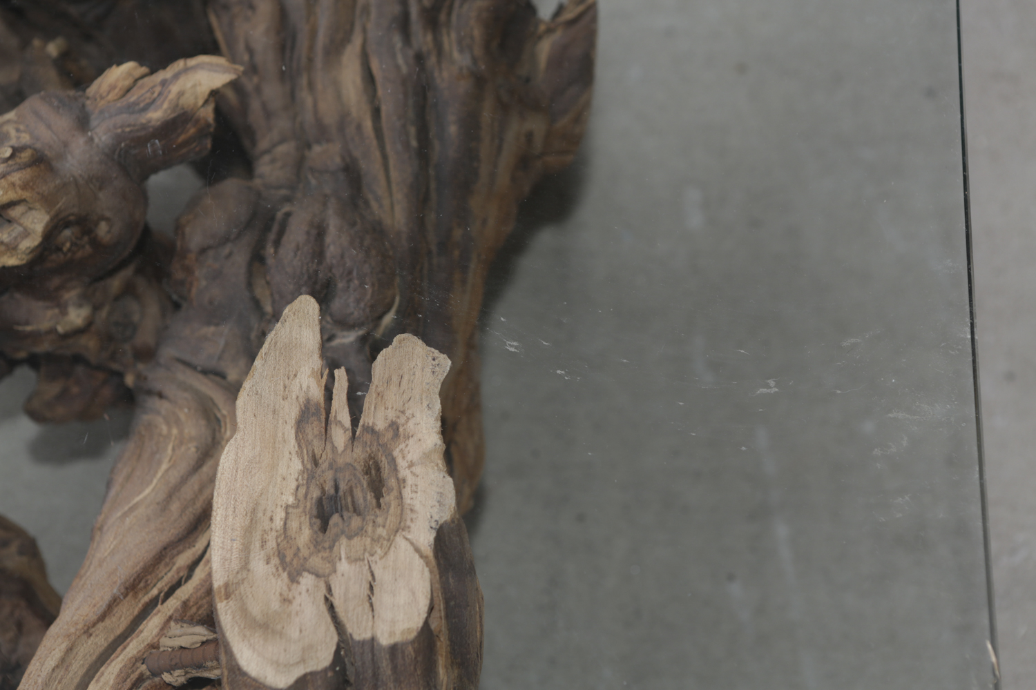 Glass Top Coffee Table with Grapevine Root Base