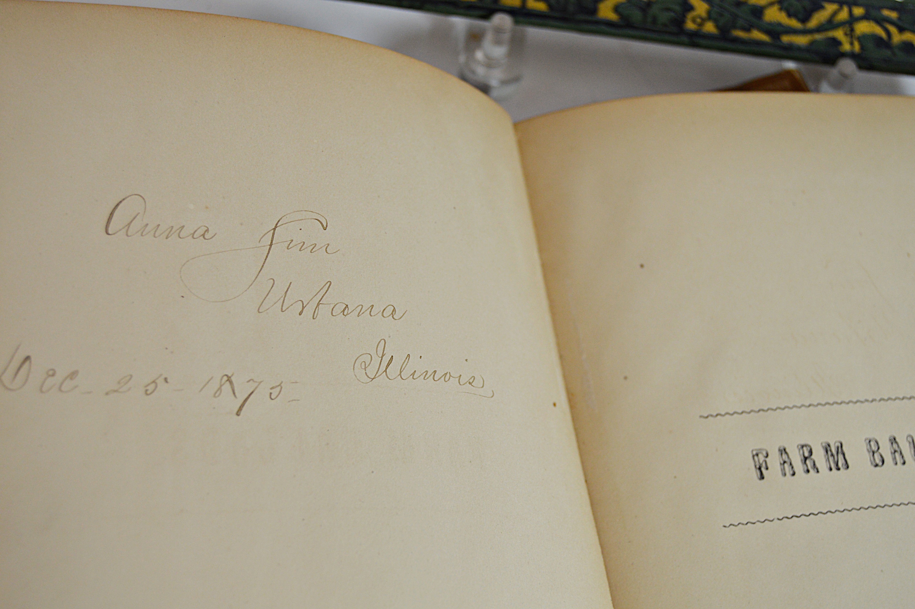 Antique Nature, Farm and City Books with Decorative Covers